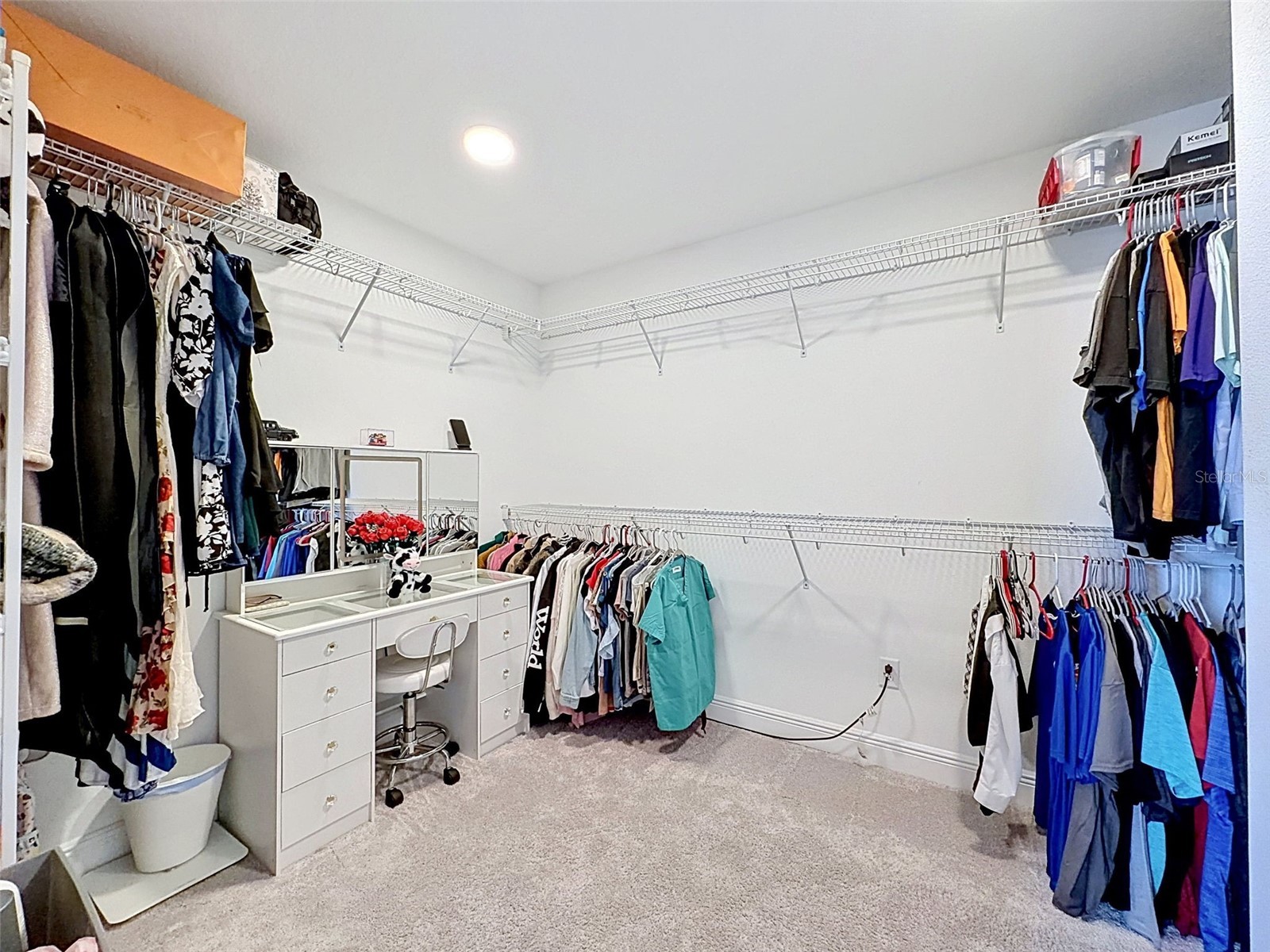 33163 Sycamore Leaf Drive Wesley Chapel FL 33545 W7885551 image47