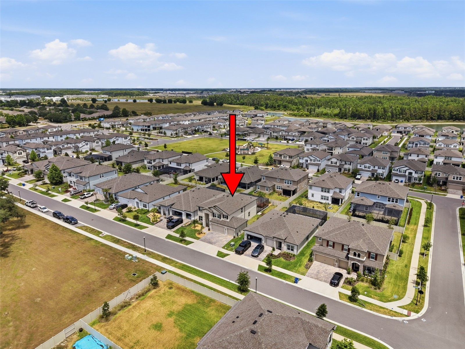 33163 Sycamore Leaf Drive Wesley Chapel FL 33545 W7885551 image82
