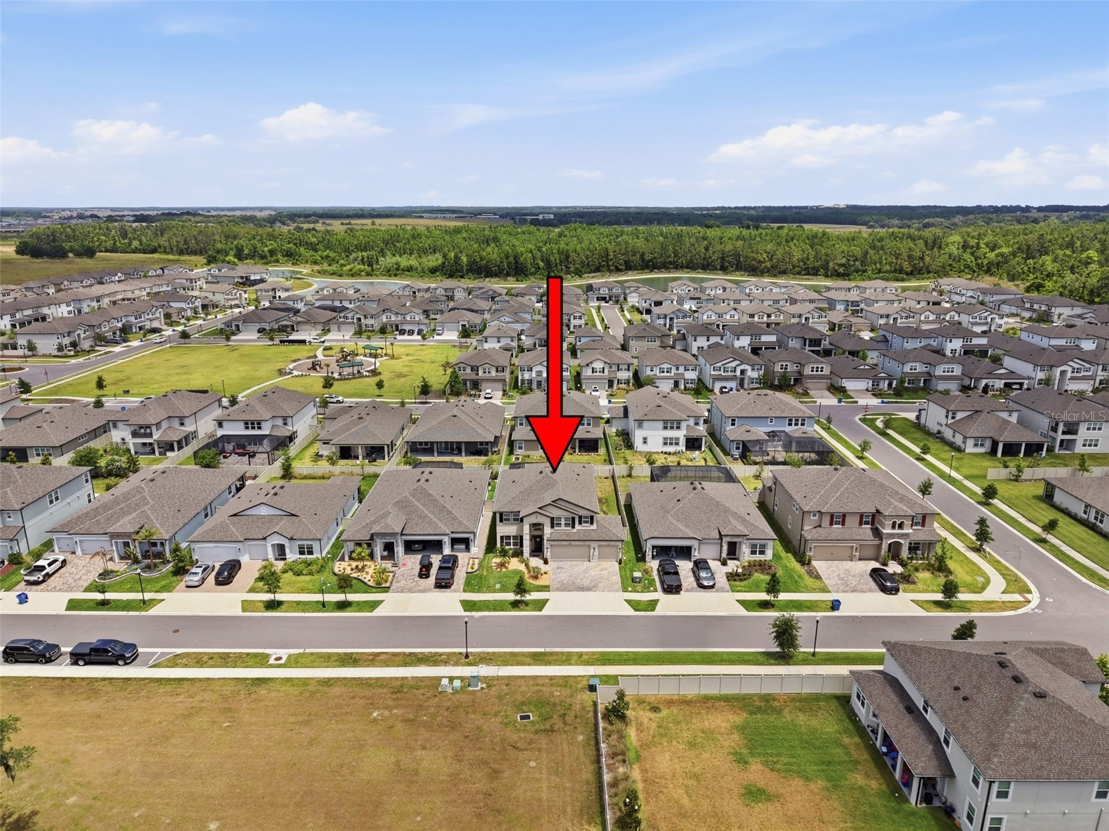 33163 Sycamore Leaf Drive Wesley Chapel FL 33545 W7885551 image83