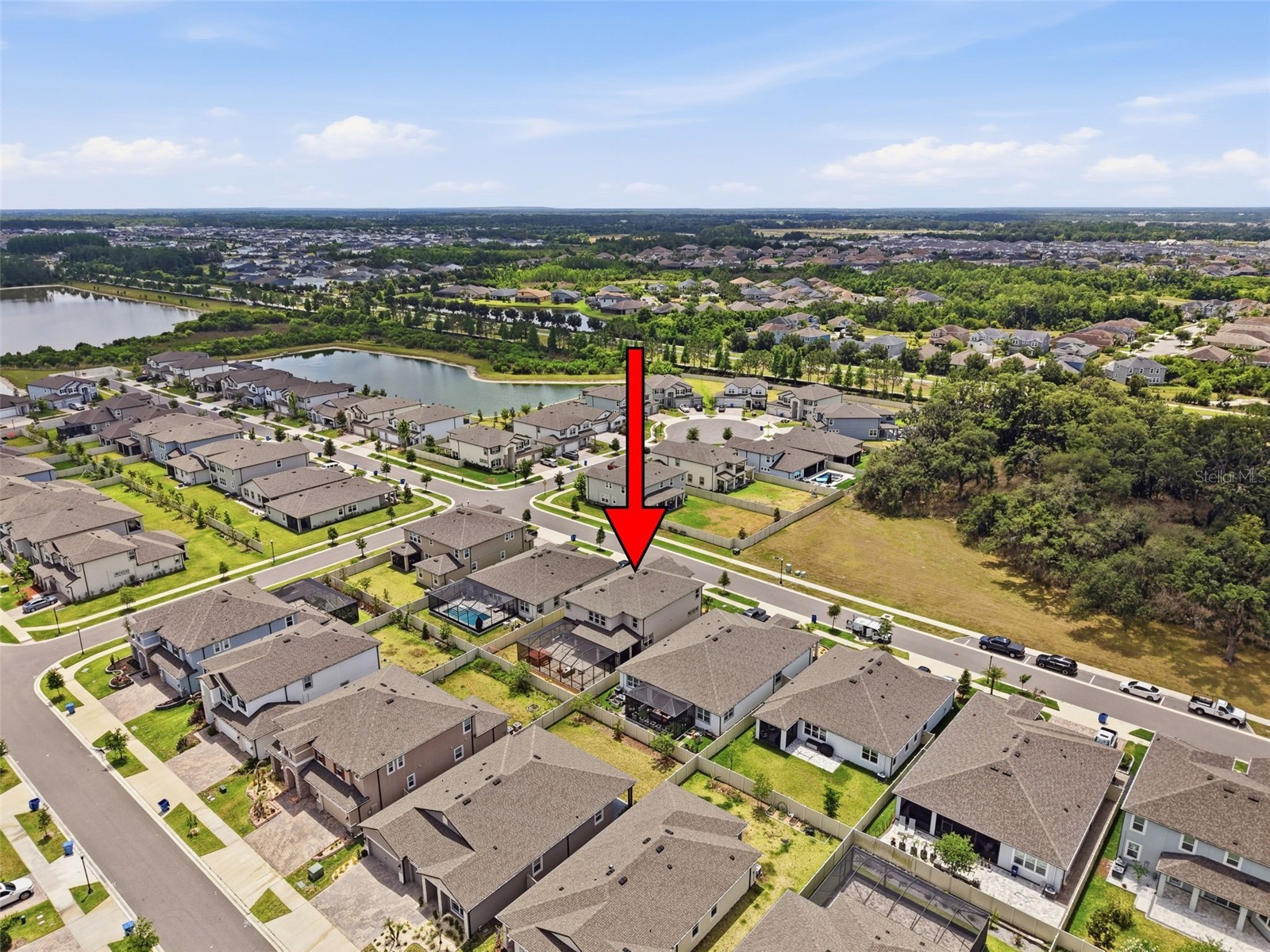 33163 Sycamore Leaf Drive Wesley Chapel FL 33545 W7885551 image84