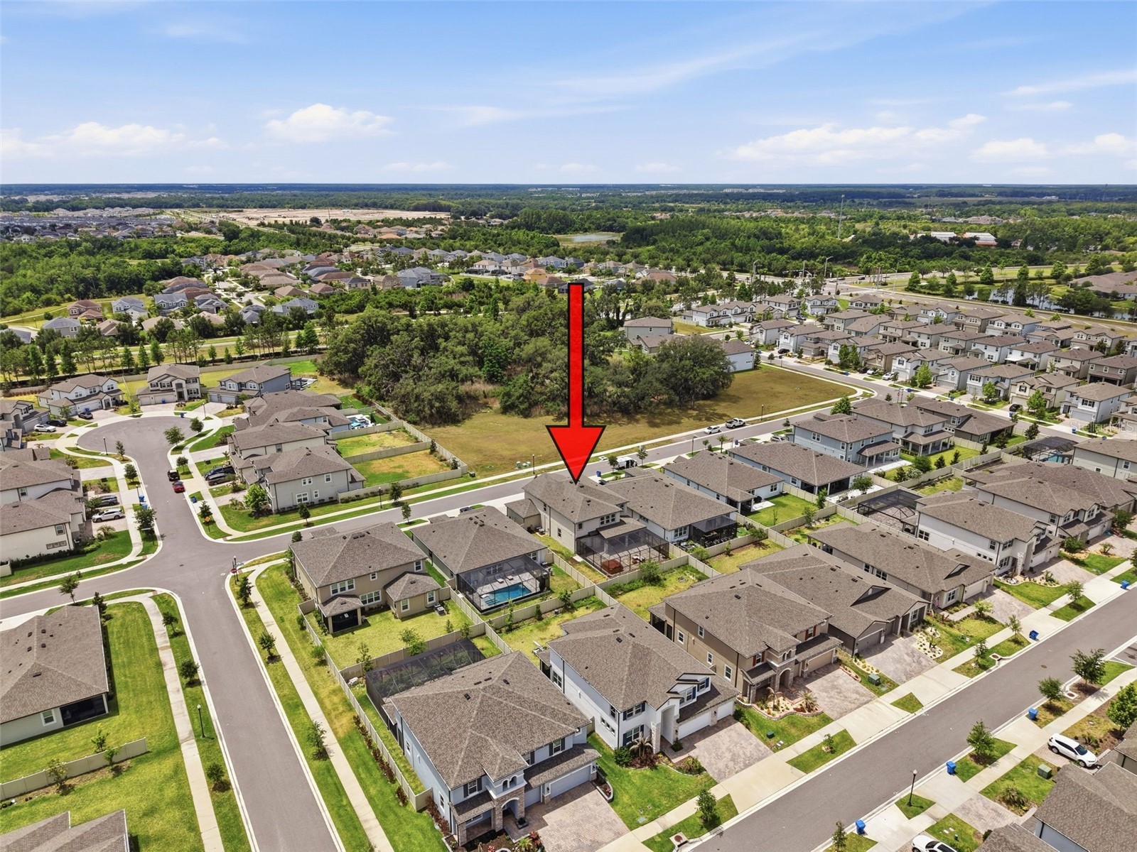 33163 Sycamore Leaf Drive Wesley Chapel FL 33545 W7885551 image86