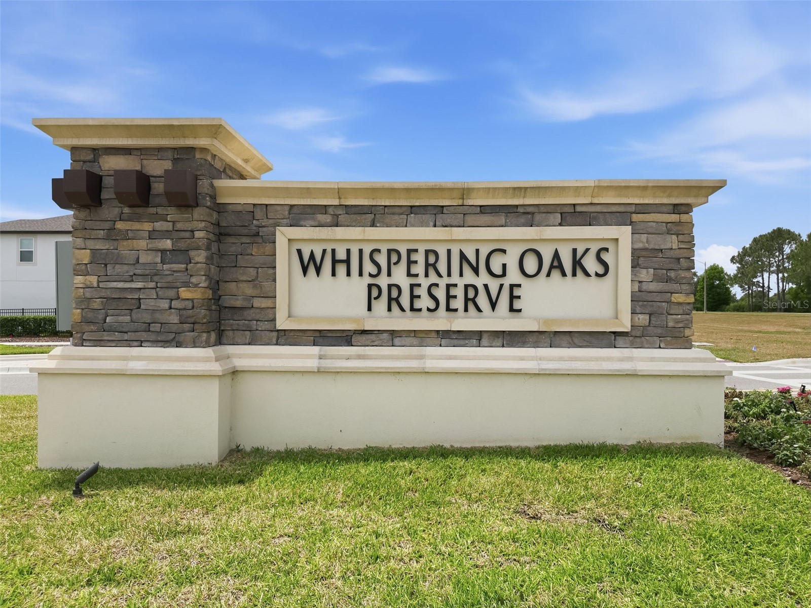 33163 Sycamore Leaf Drive Wesley Chapel FL 33545 W7885551 image90