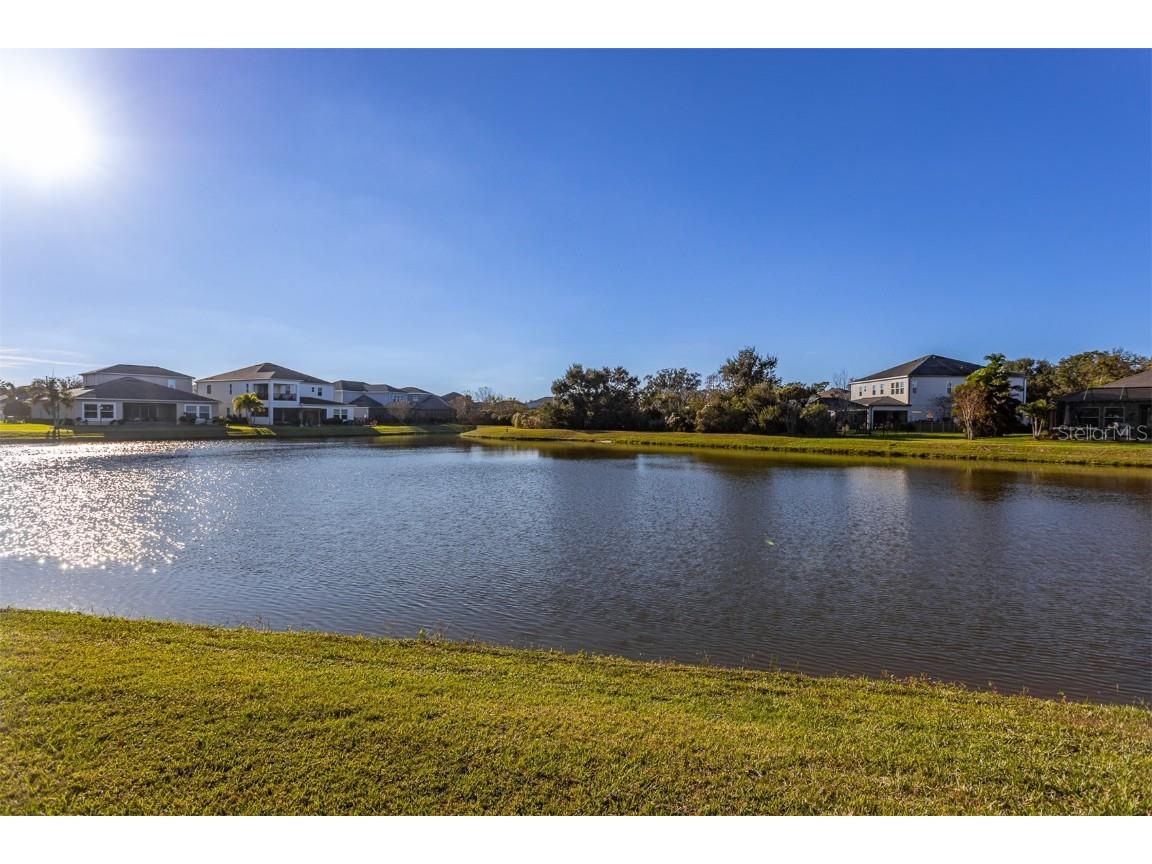 33164 Kateland Drive Wesley Chapel FL 33545 TB8456005 image82