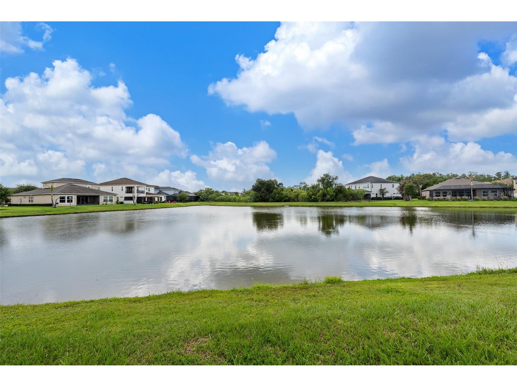 33164 Kateland Drive Wesley Chapel FL 33545 TB8513636 image43