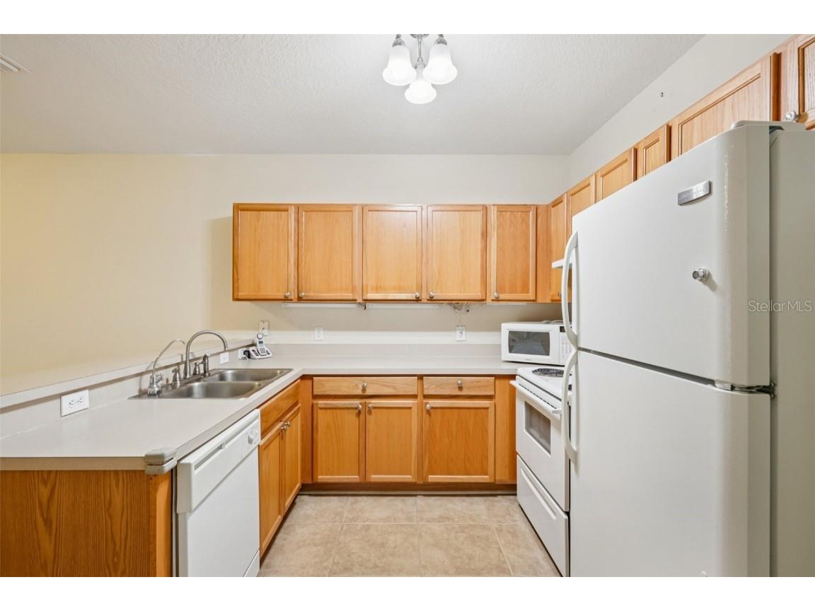 3317 Broken Bow Drive Land O Lakes FL 34639 TB8437480 image13