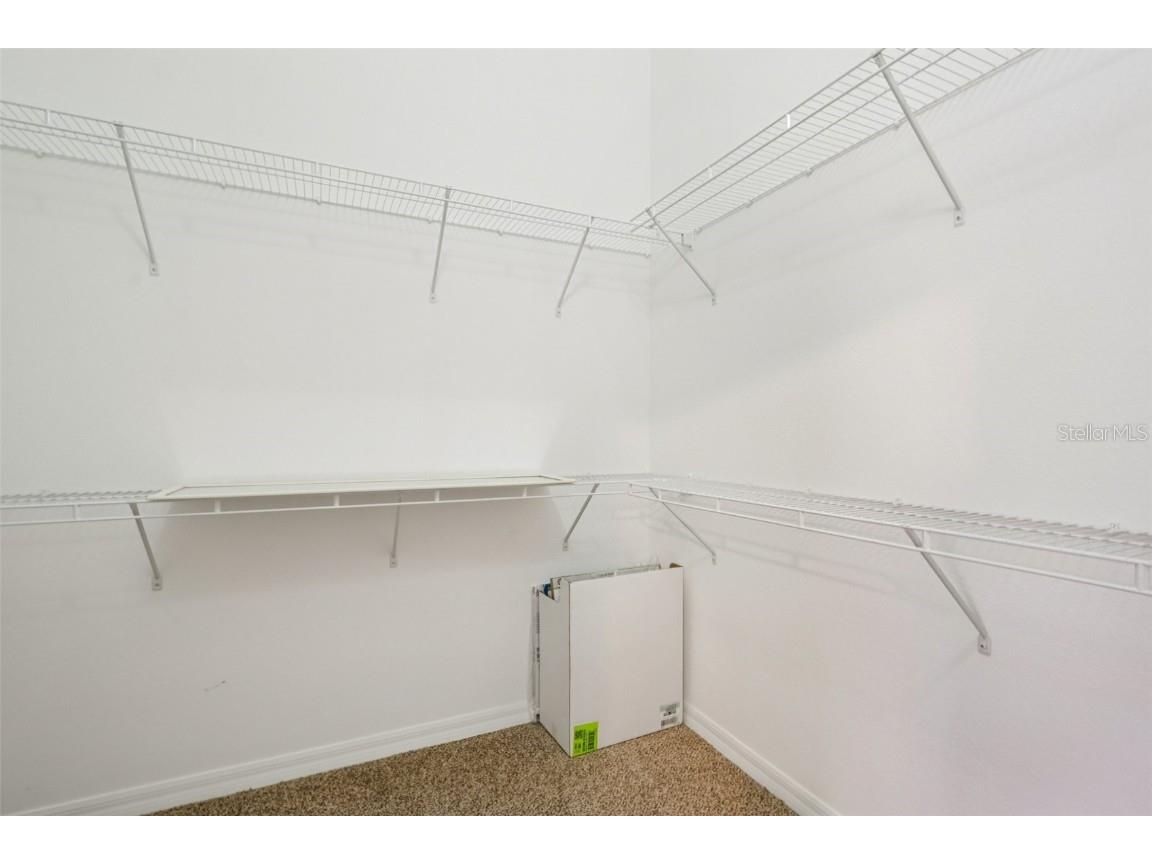 3317 Broken Bow Drive Land O Lakes FL 34639 TB8437480 image24