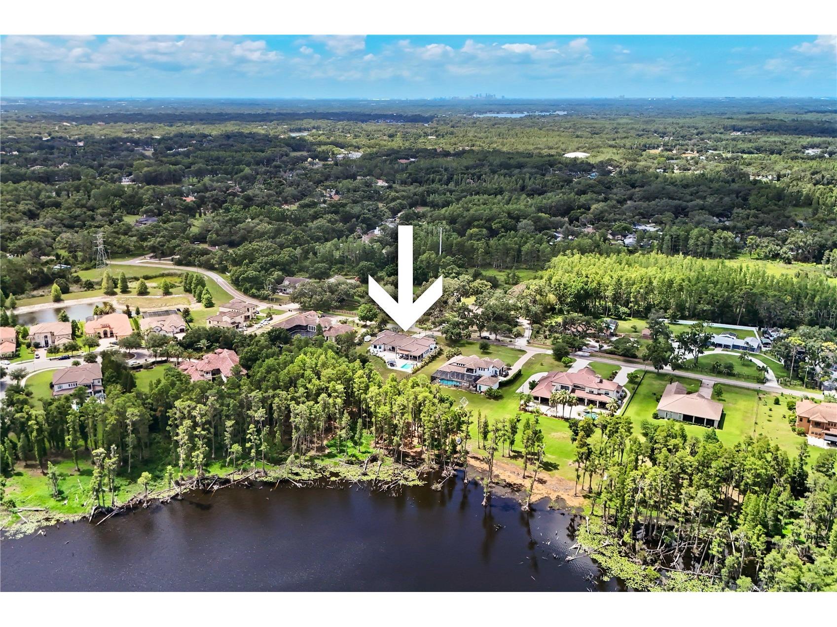 3317 Crenshaw Lake Road Lutz FL 33548 TB8521268 image6