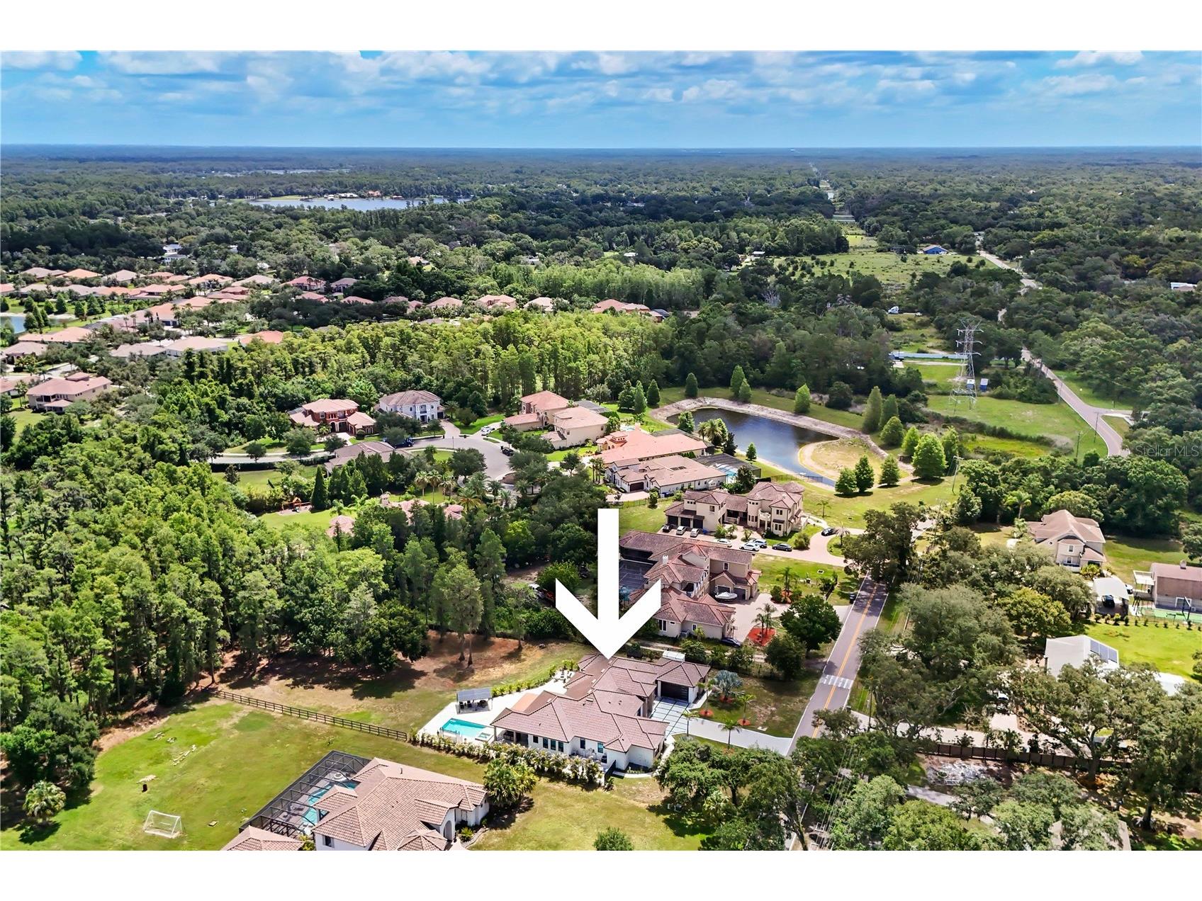 3317 Crenshaw Lake Road Lutz FL 33548 TB8521268 image61