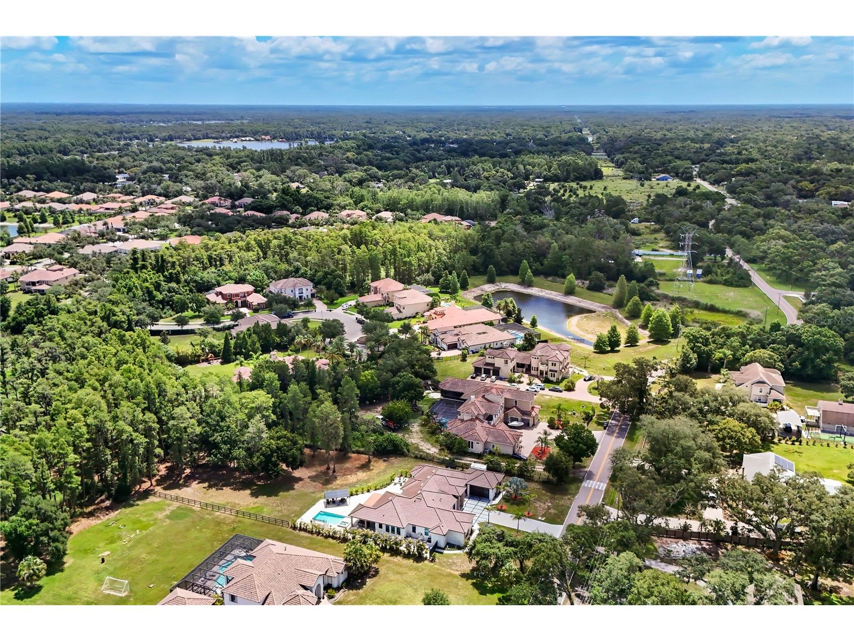 3317 Crenshaw Lake Road Lutz FL 33548 TB8521268 image62
