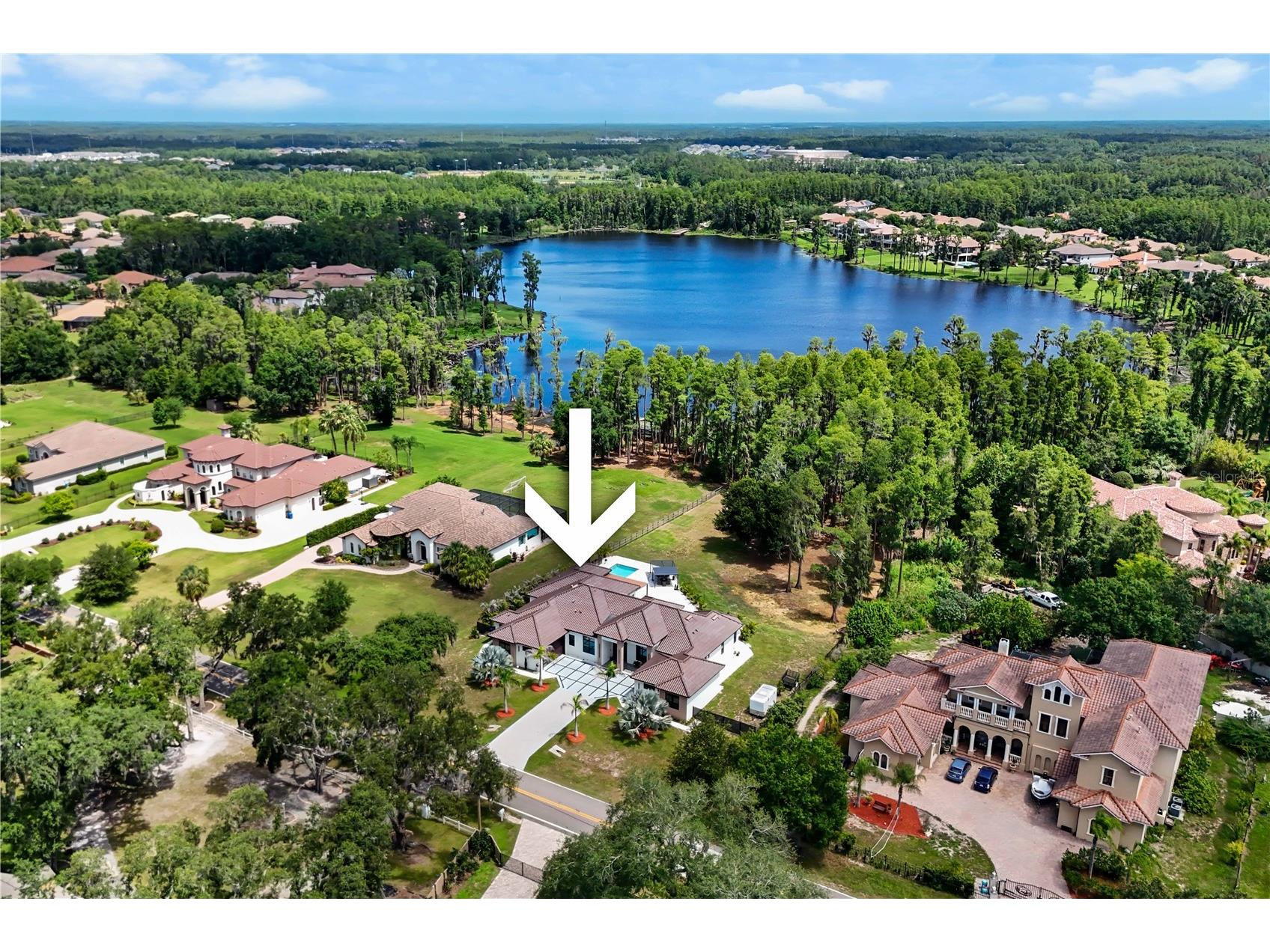 3317 Crenshaw Lake Road Lutz FL 33548 TB8521268 image65