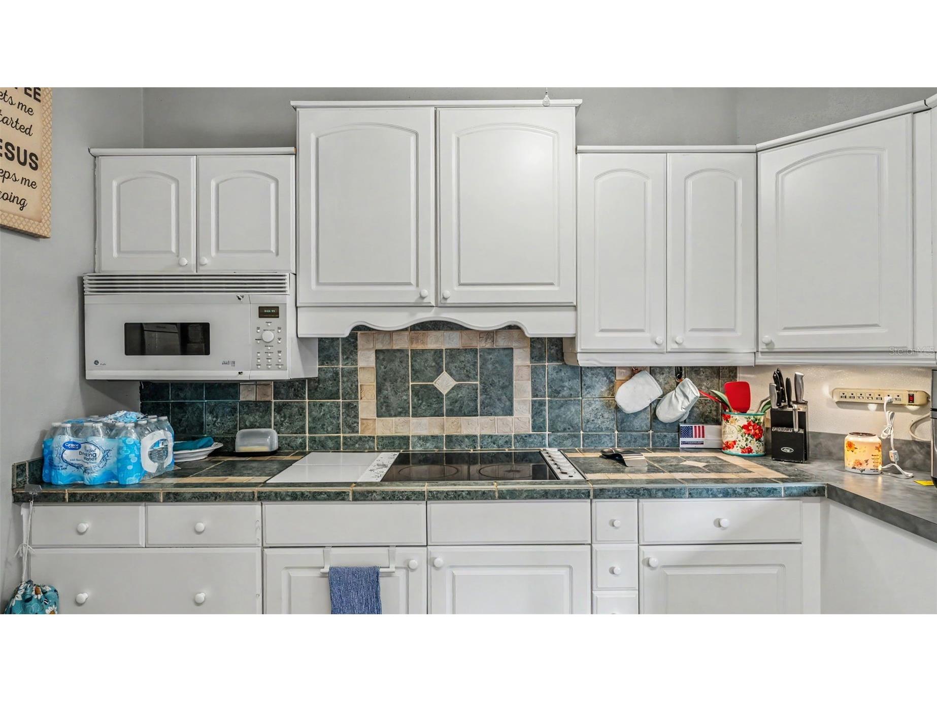 3317 Oak Meadows Lane Mulberry FL 33860 L4962233 image9