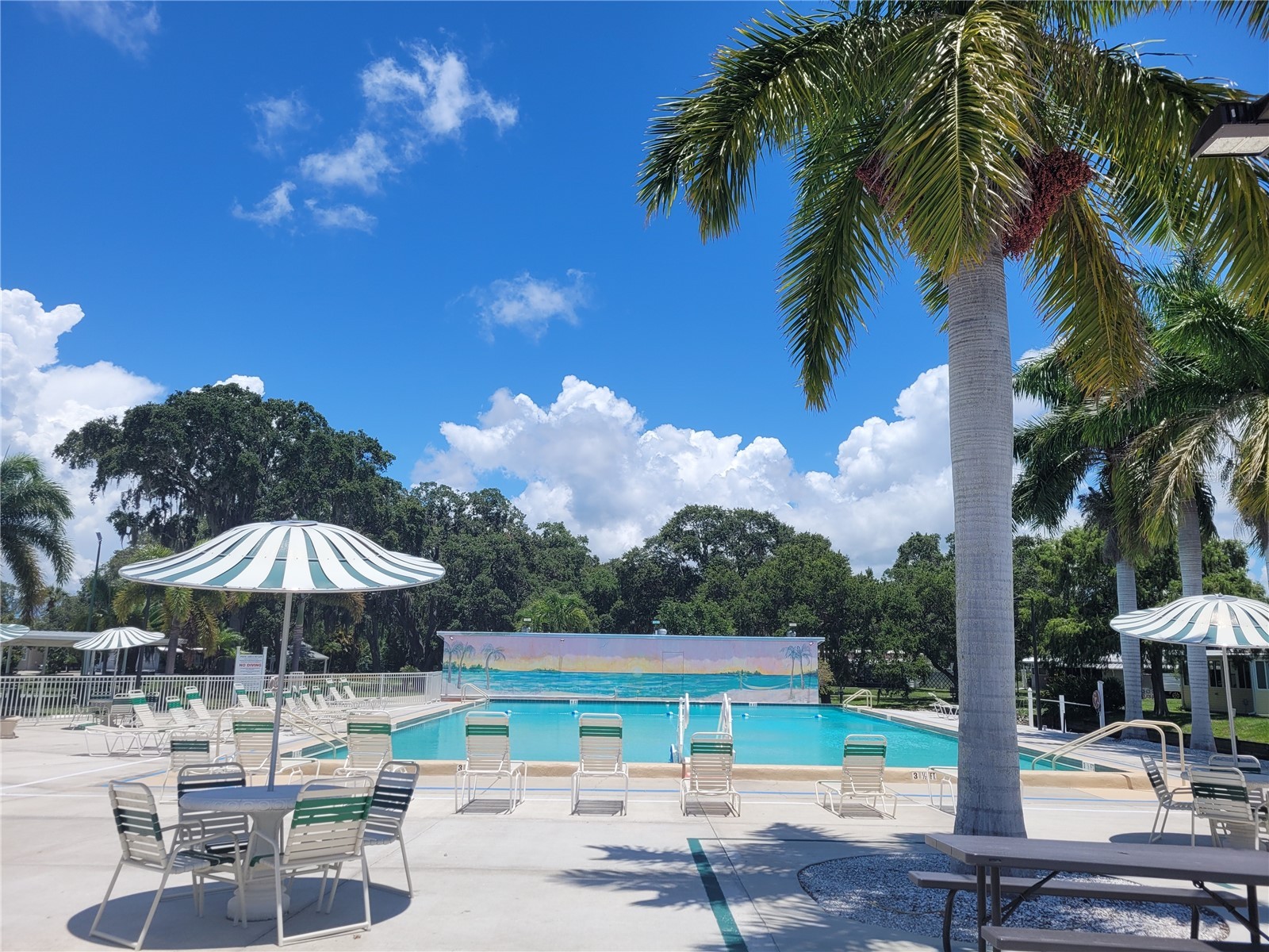 3317 Overcup Oak Terrace Sarasota FL 34237 A4679455 image50