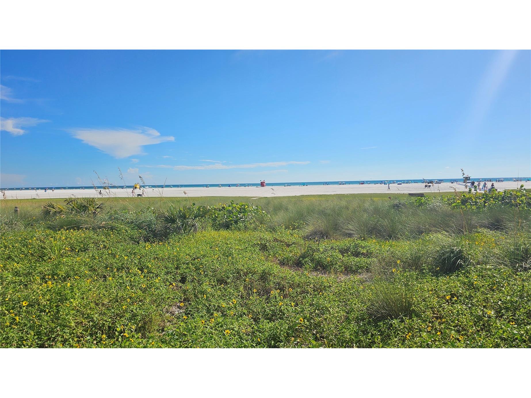 3317 Pine Valley Drive Sarasota FL 34239 A4687689 image36