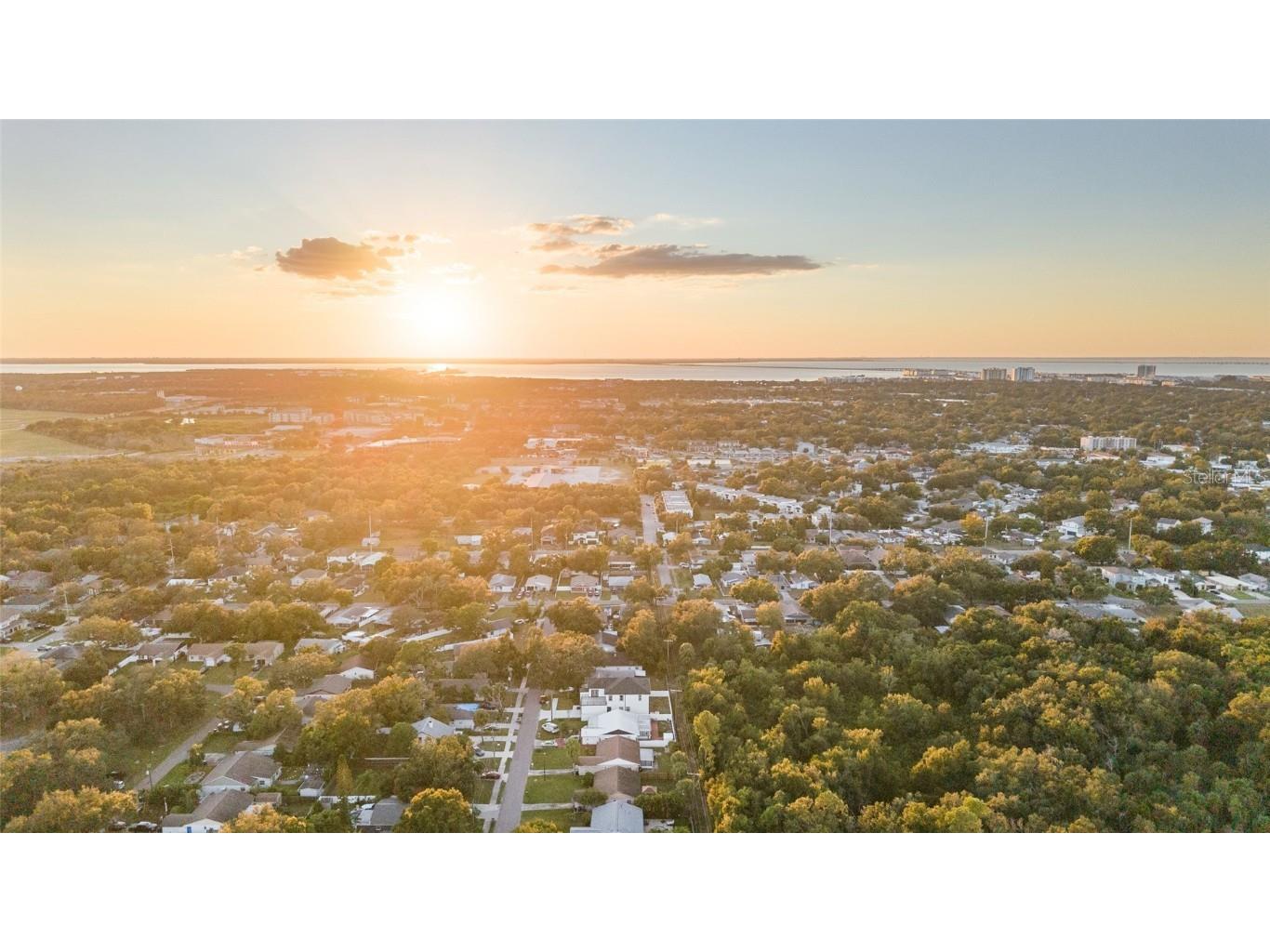 3317 W Napoleon Avenue Tampa FL 33611 TB8436050 image43