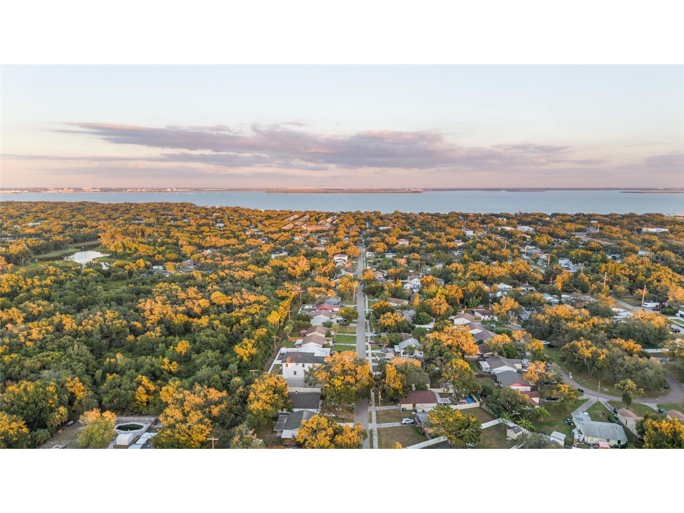 3317 W Napoleon Avenue Tampa FL 33611 TB8436050 image47