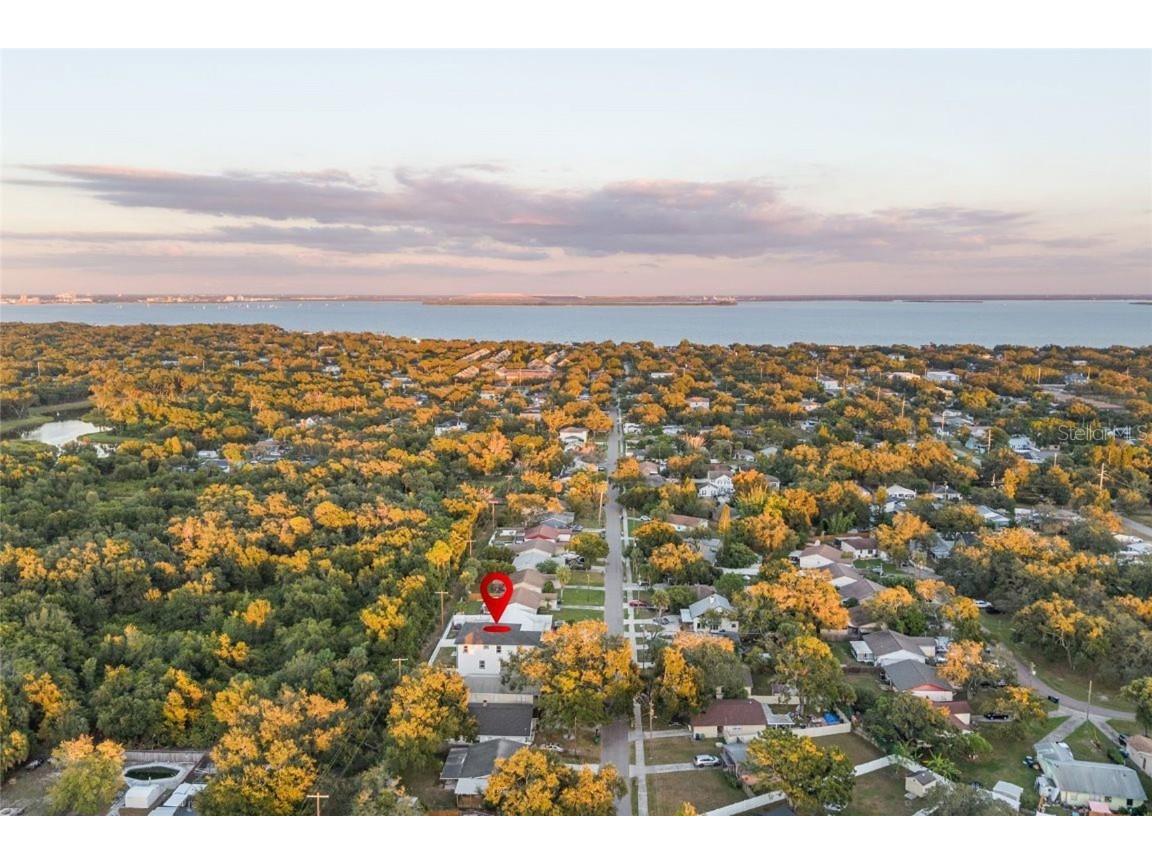 3317 W Napoleon Avenue Tampa FL 33611 TB8436050 image48