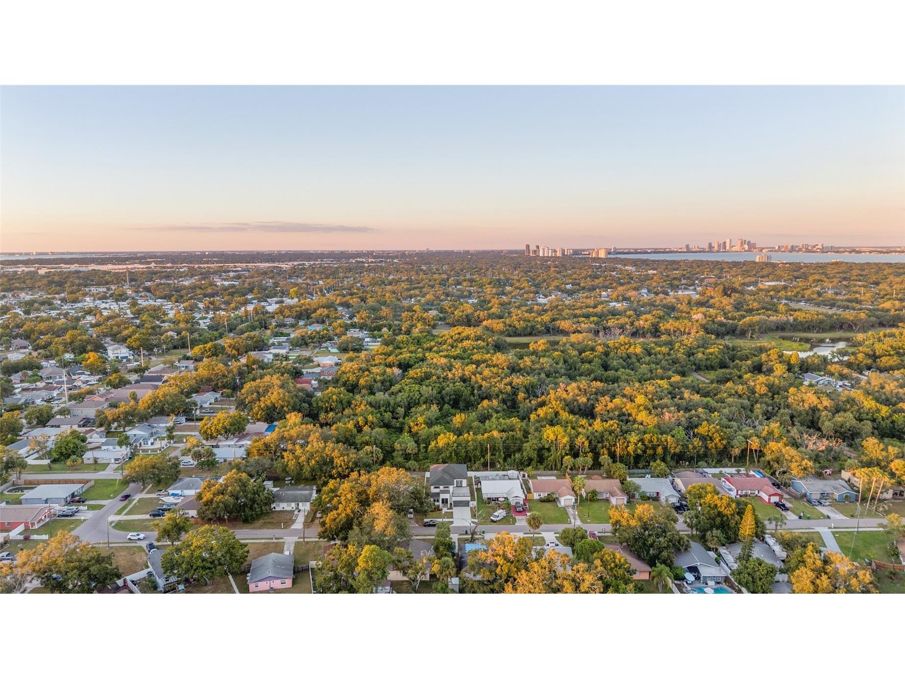 3317 W Napoleon Avenue Tampa FL 33611 TB8467353 image40