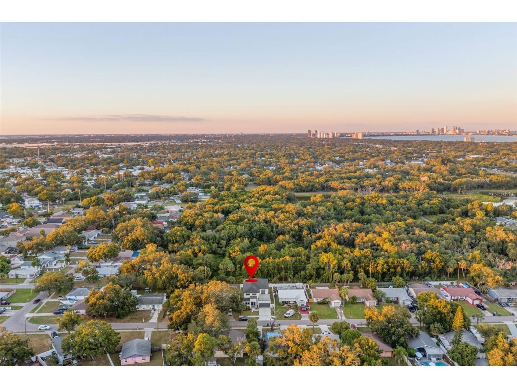 3317 W Napoleon Avenue Tampa FL 33611 TB8467353 image41