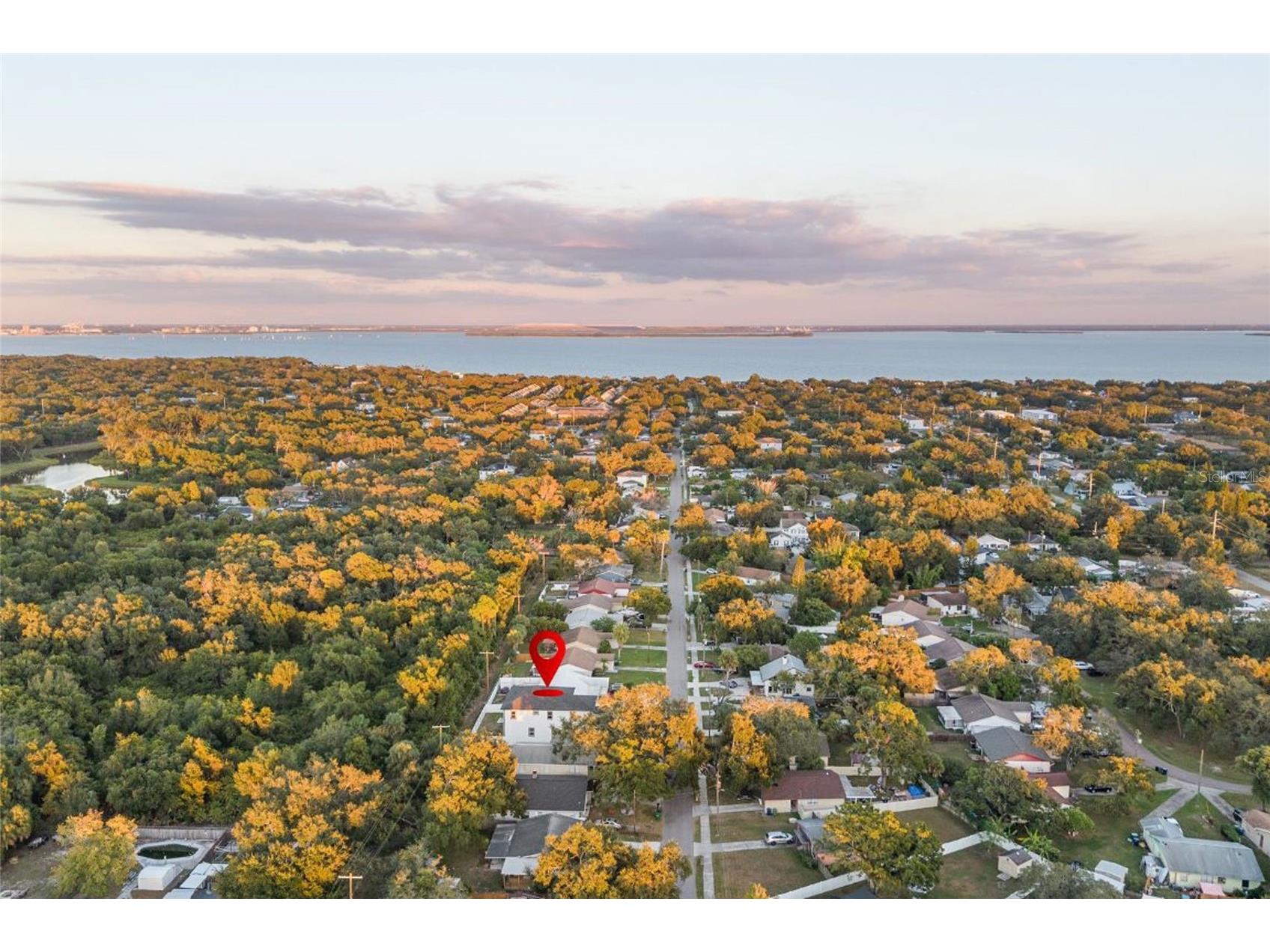 3317 W Napoleon Avenue Tampa FL 33611 TB8467353 image42