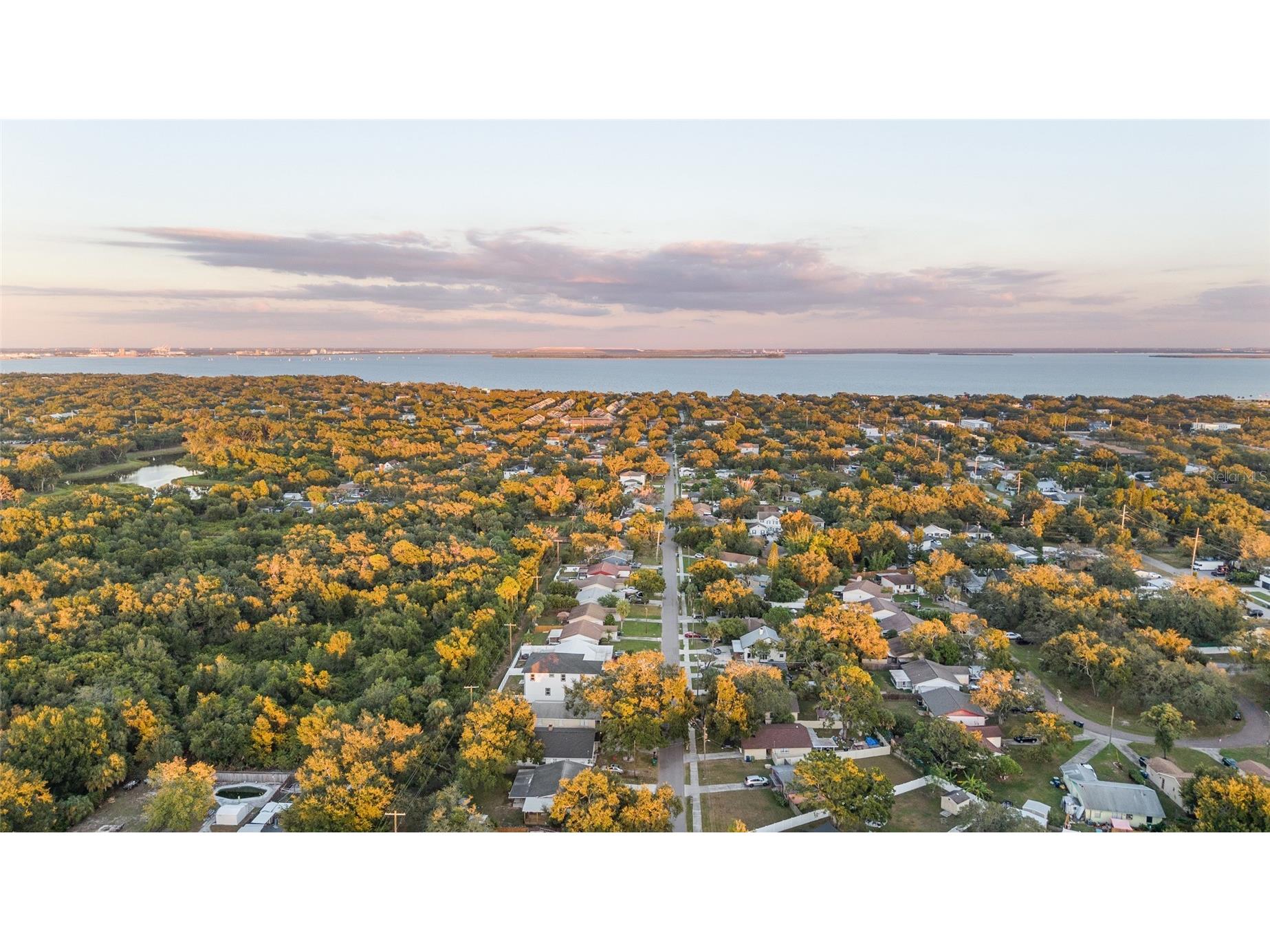 3317 W Napoleon Avenue Tampa FL 33611 TB8467353 image46