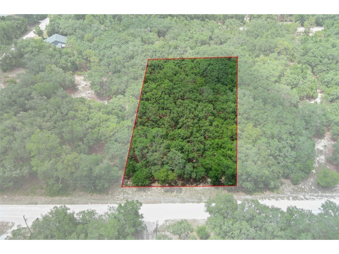 33175 Faculty Street Webster FL 33597 W7865835 image1