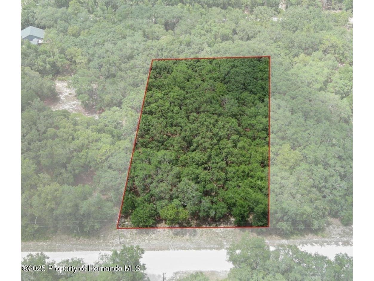 33175 Faculty Street Webster FL 33597 TB8441351 image1