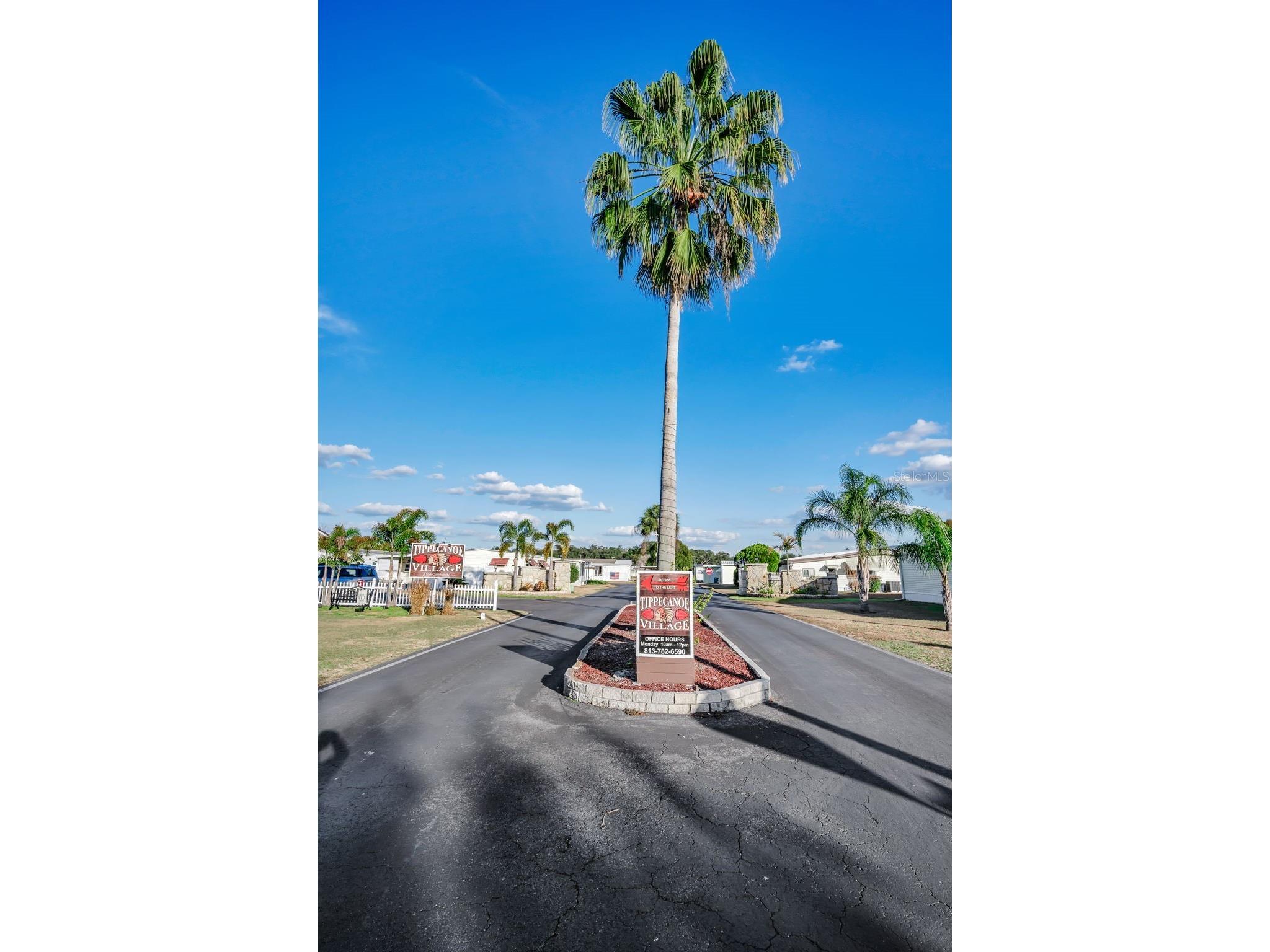 3318 Carnation Lane Zephyrhills FL 33541 TB8464361 image45