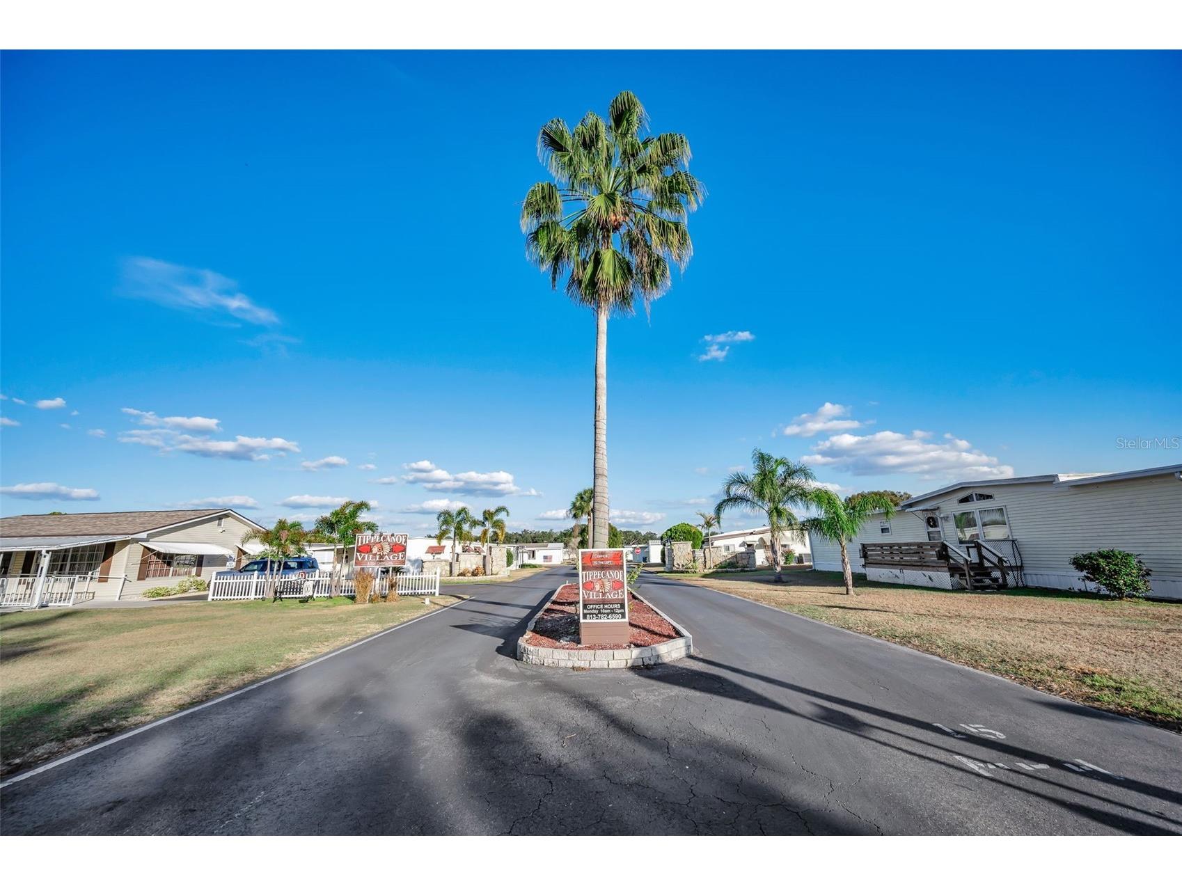 3318 Carnation Lane Zephyrhills FL 33541 TB8464361 image46