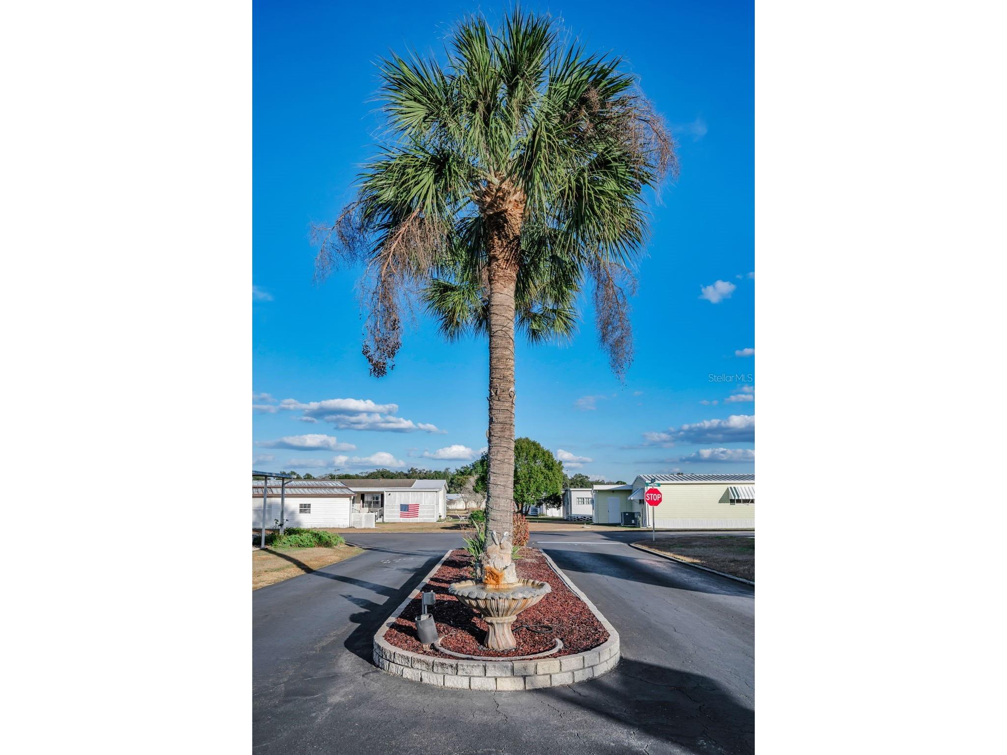 3318 Carnation Lane Zephyrhills FL 33541 TB8464361 image62
