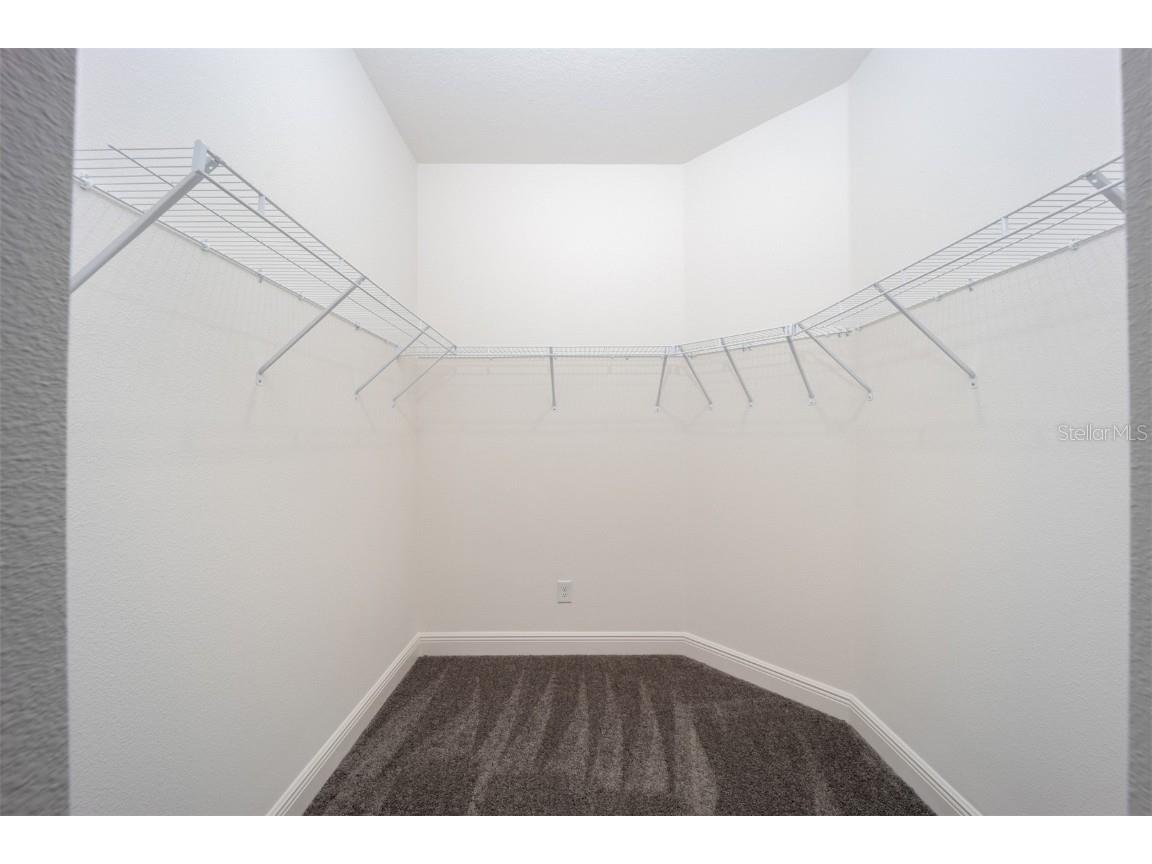 3318 Chinotto Drive Lake Alfred FL 33850 - GUM LAKE TB8431861 image13