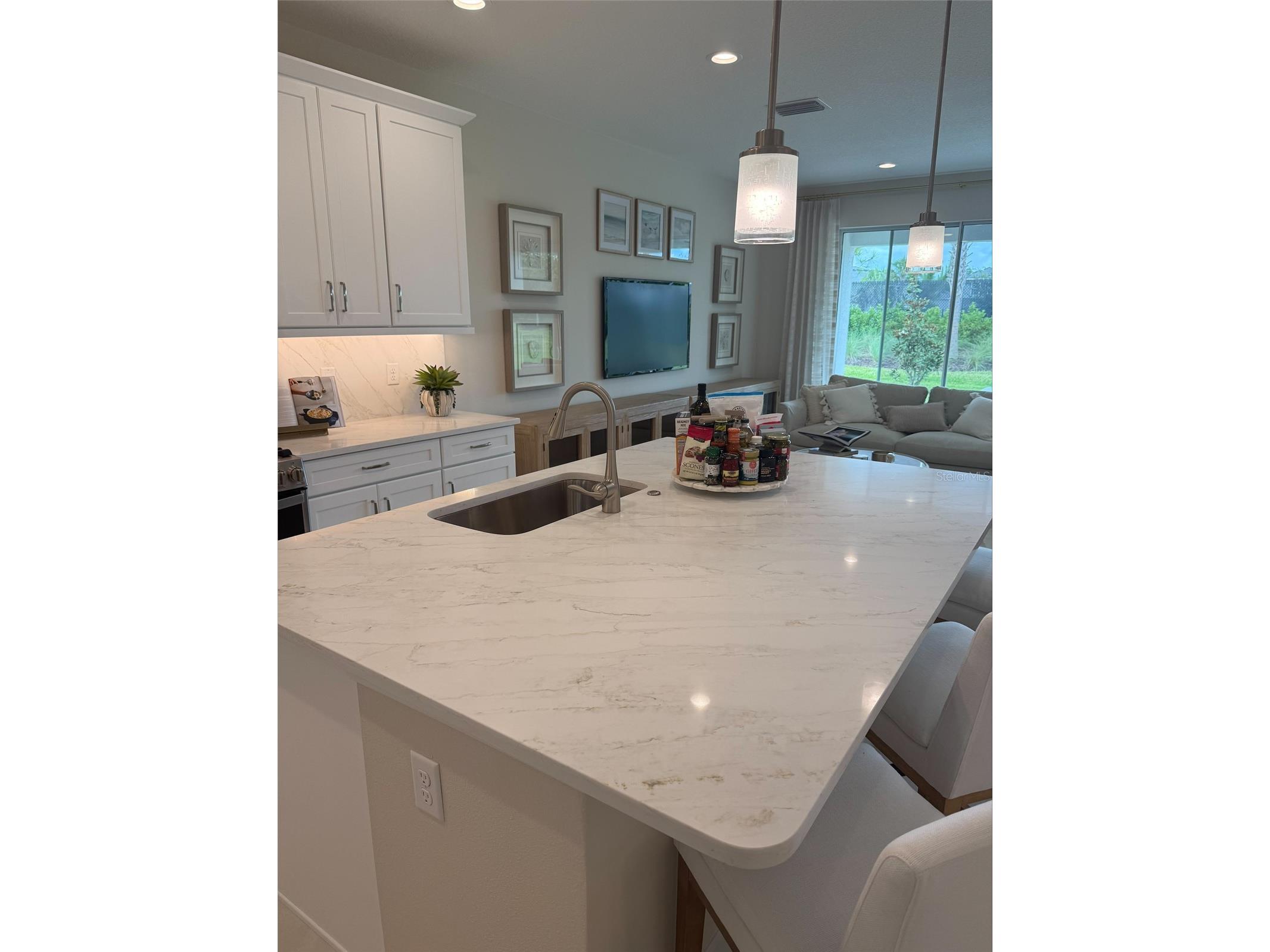3318 Malta Avenue Wesley Chapel FL 33543 TB8494016 image3