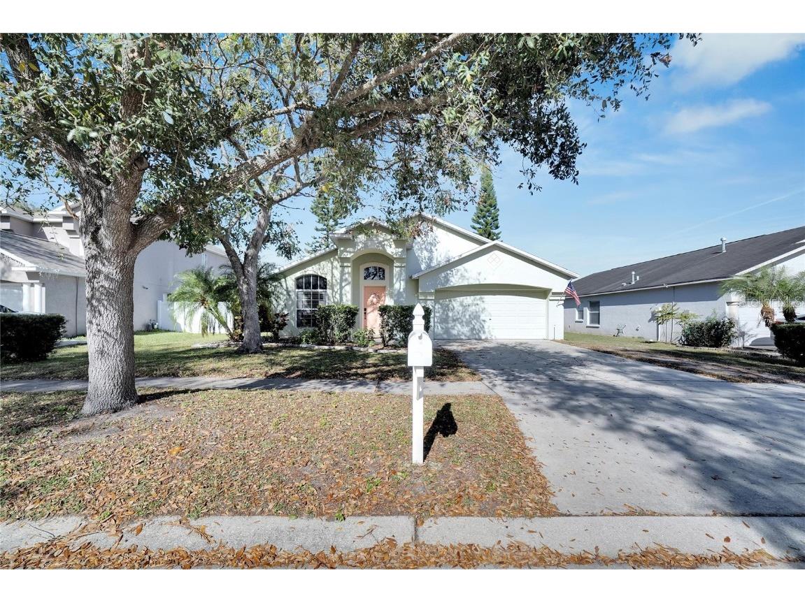 3318 Pine Top Drive Valrico FL 33594 T3494950 image1