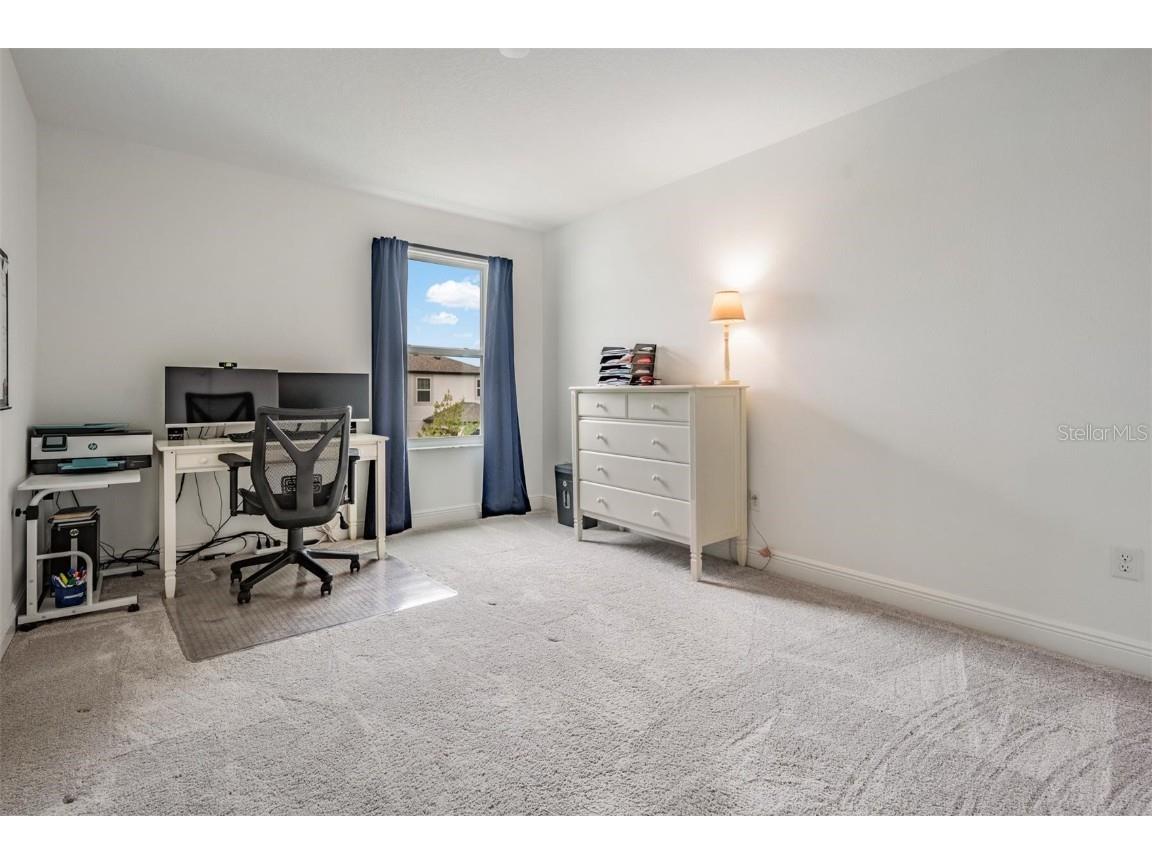 33181 Rosewood Bark Way Wesley Chapel FL 33545 TB8429106 image39