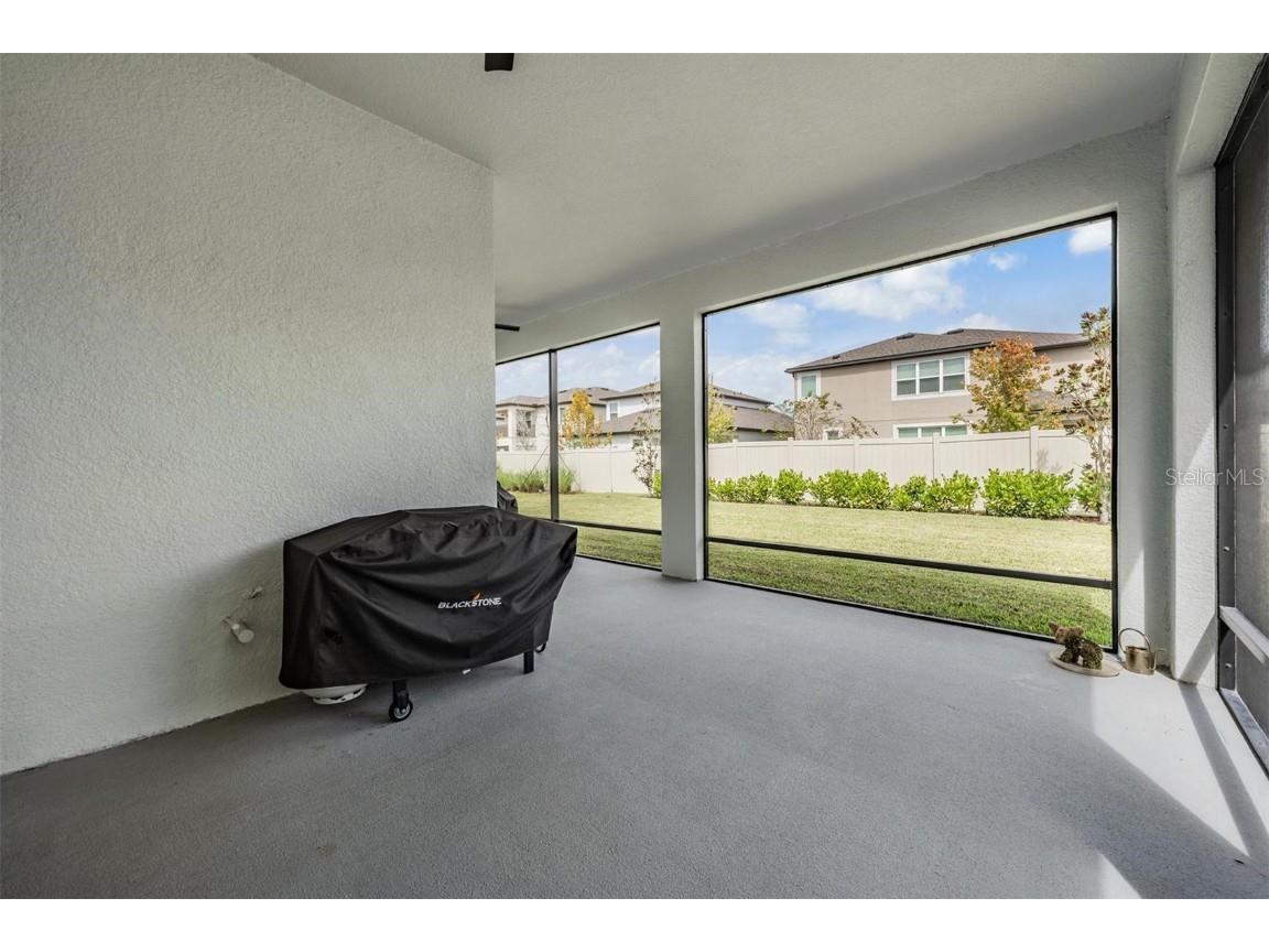 33181 Rosewood Bark Way Wesley Chapel FL 33545 TB8429106 image41