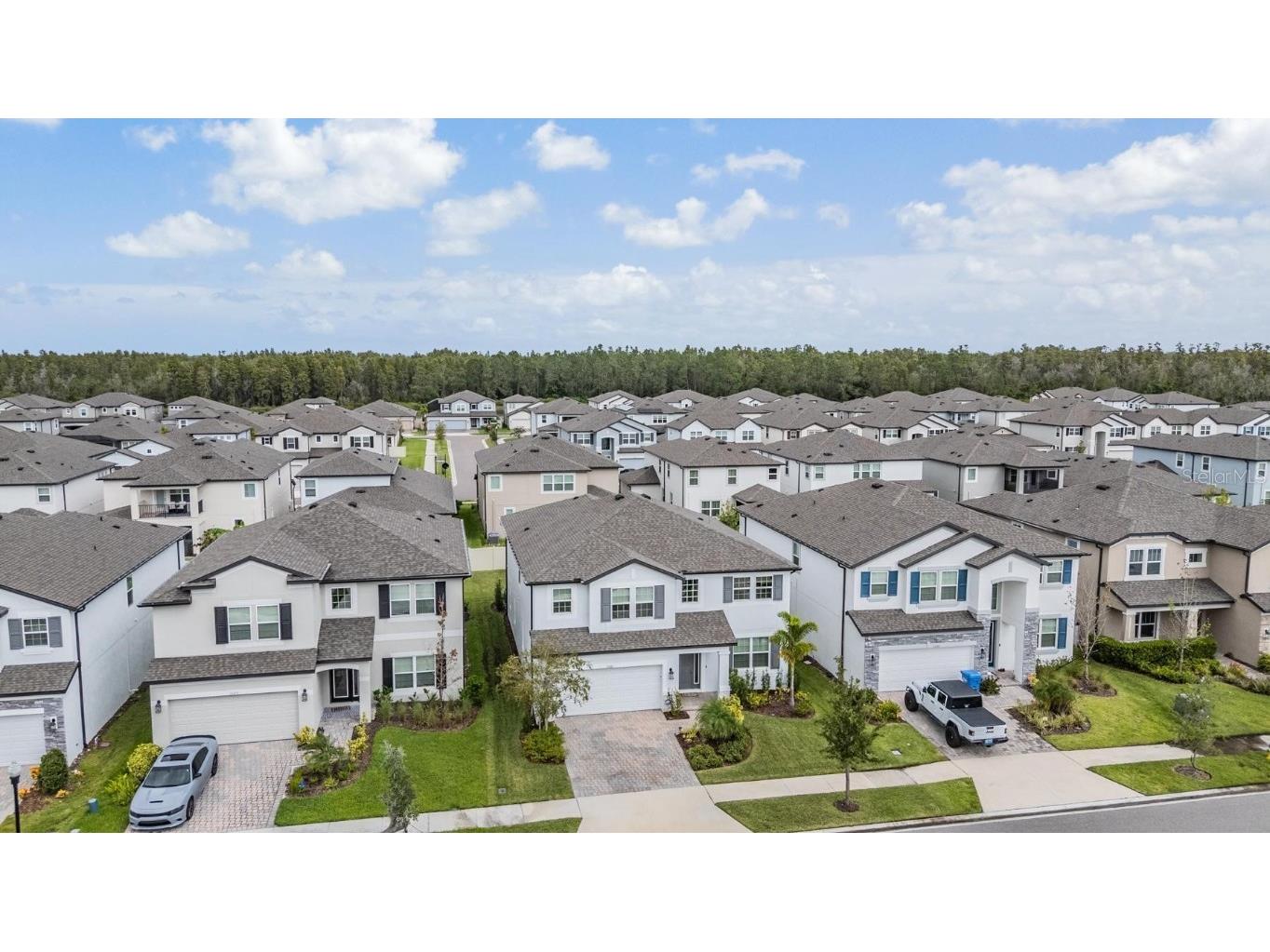 33181 Rosewood Bark Way Wesley Chapel FL 33545 TB8429106 image49