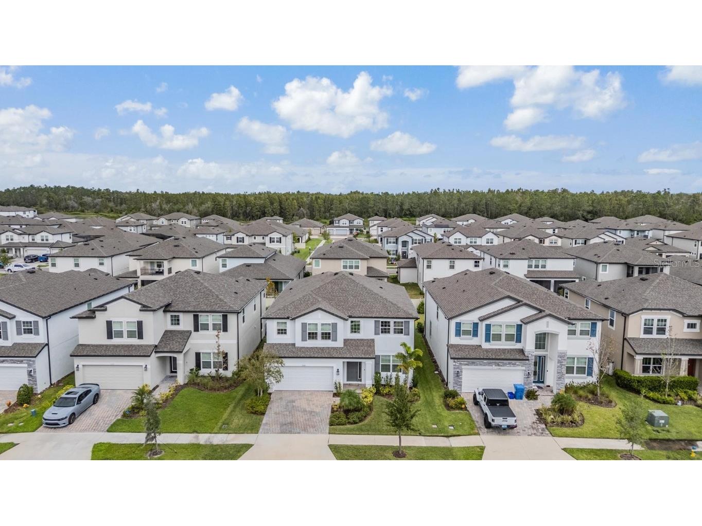 33181 Rosewood Bark Way Wesley Chapel FL 33545 TB8429106 image50