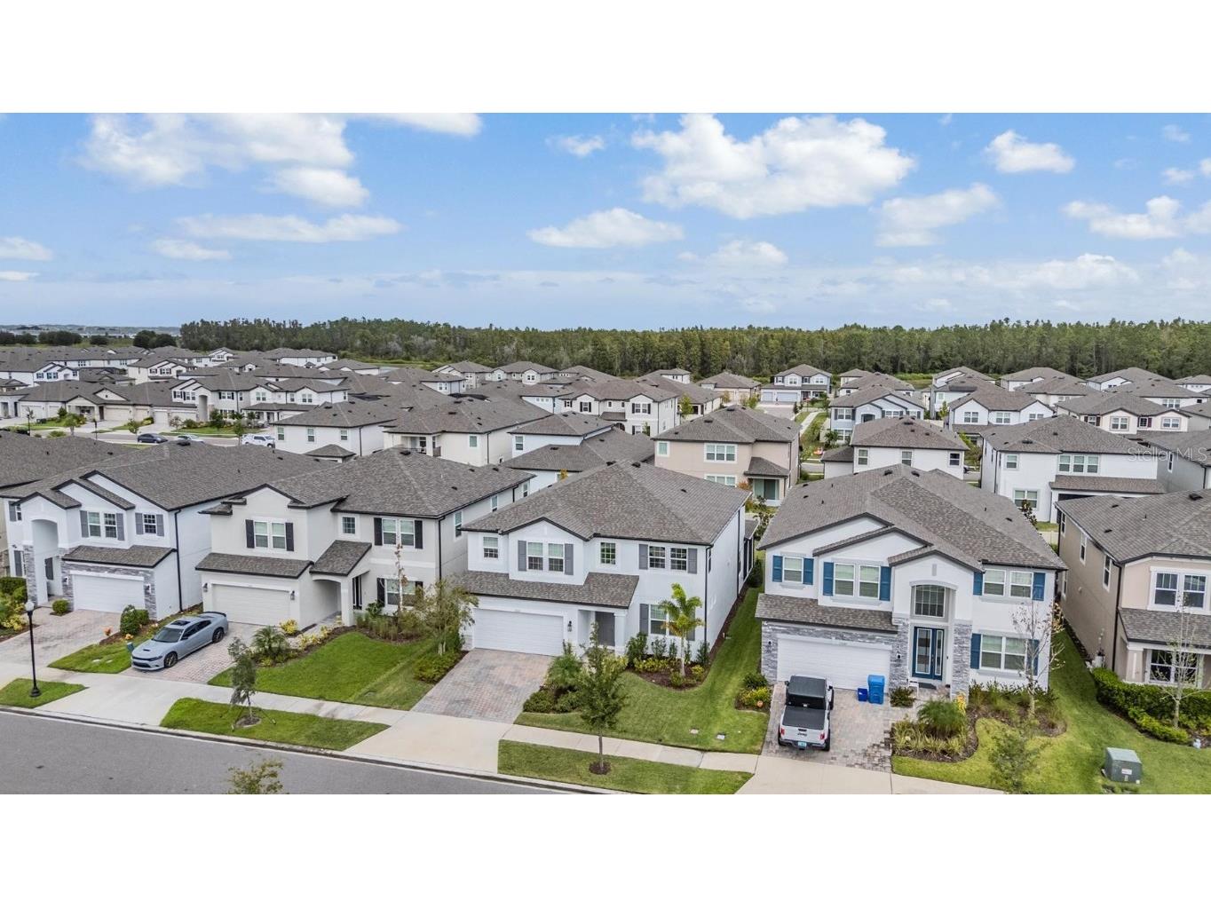 33181 Rosewood Bark Way Wesley Chapel FL 33545 TB8429106 image51