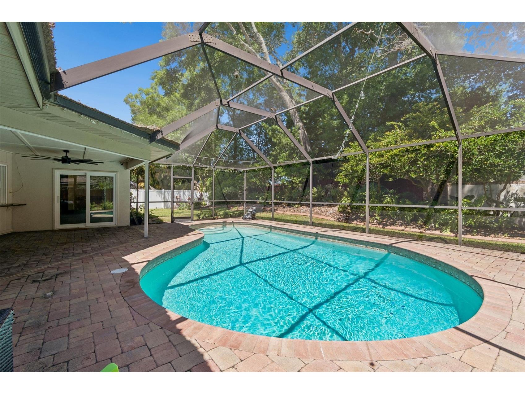 3319 Cheviot Drive Tampa FL 33618 TB8500966 image24