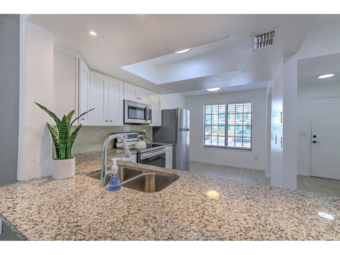 3319 Laurel View Drive Brandon FL 33511 T3535696 image9