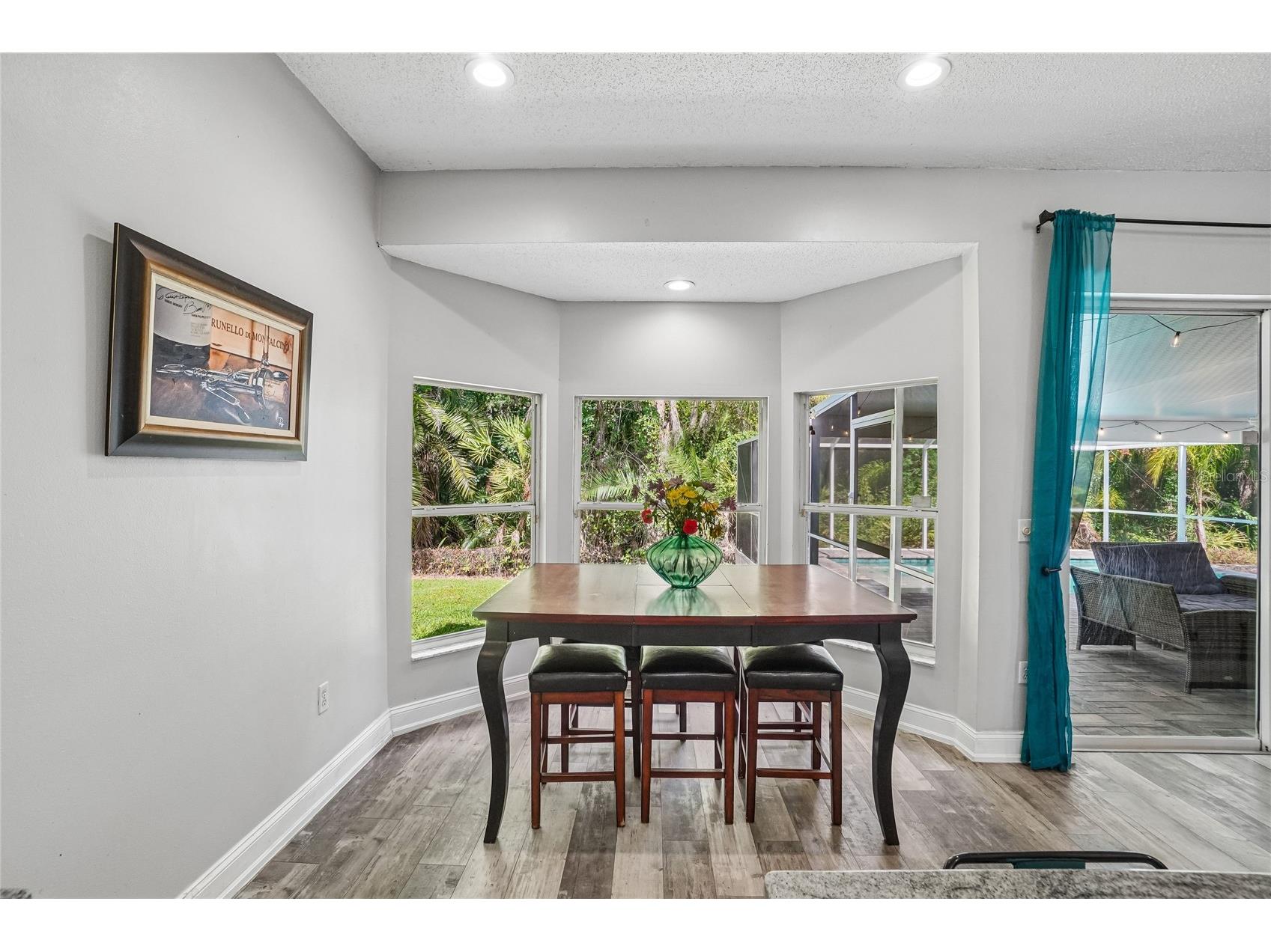 3319 Laurelwood Court Tarpon Springs FL 34688 TB8510649 image10