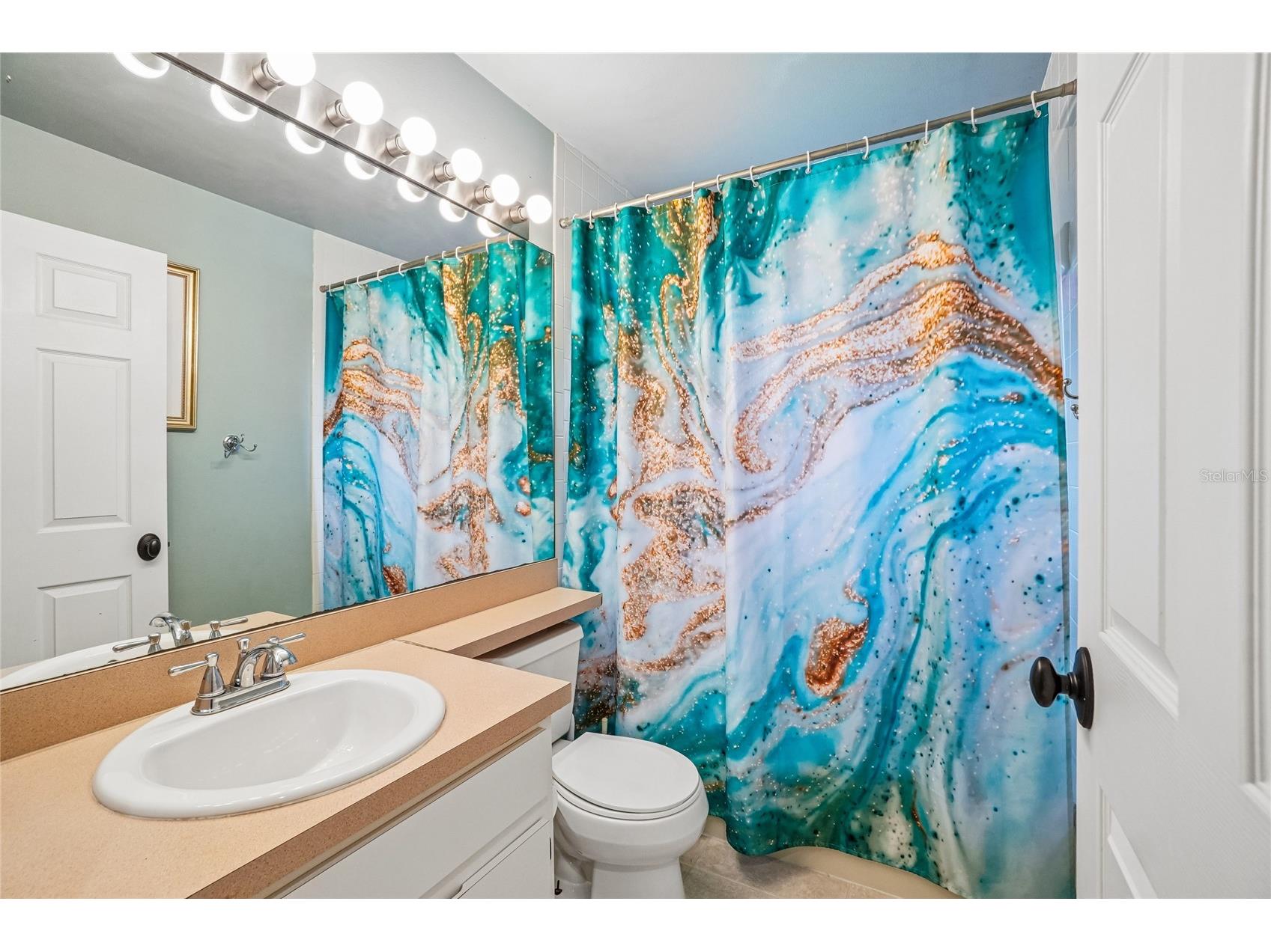 3319 Laurelwood Court Tarpon Springs FL 34688 TB8510649 image17