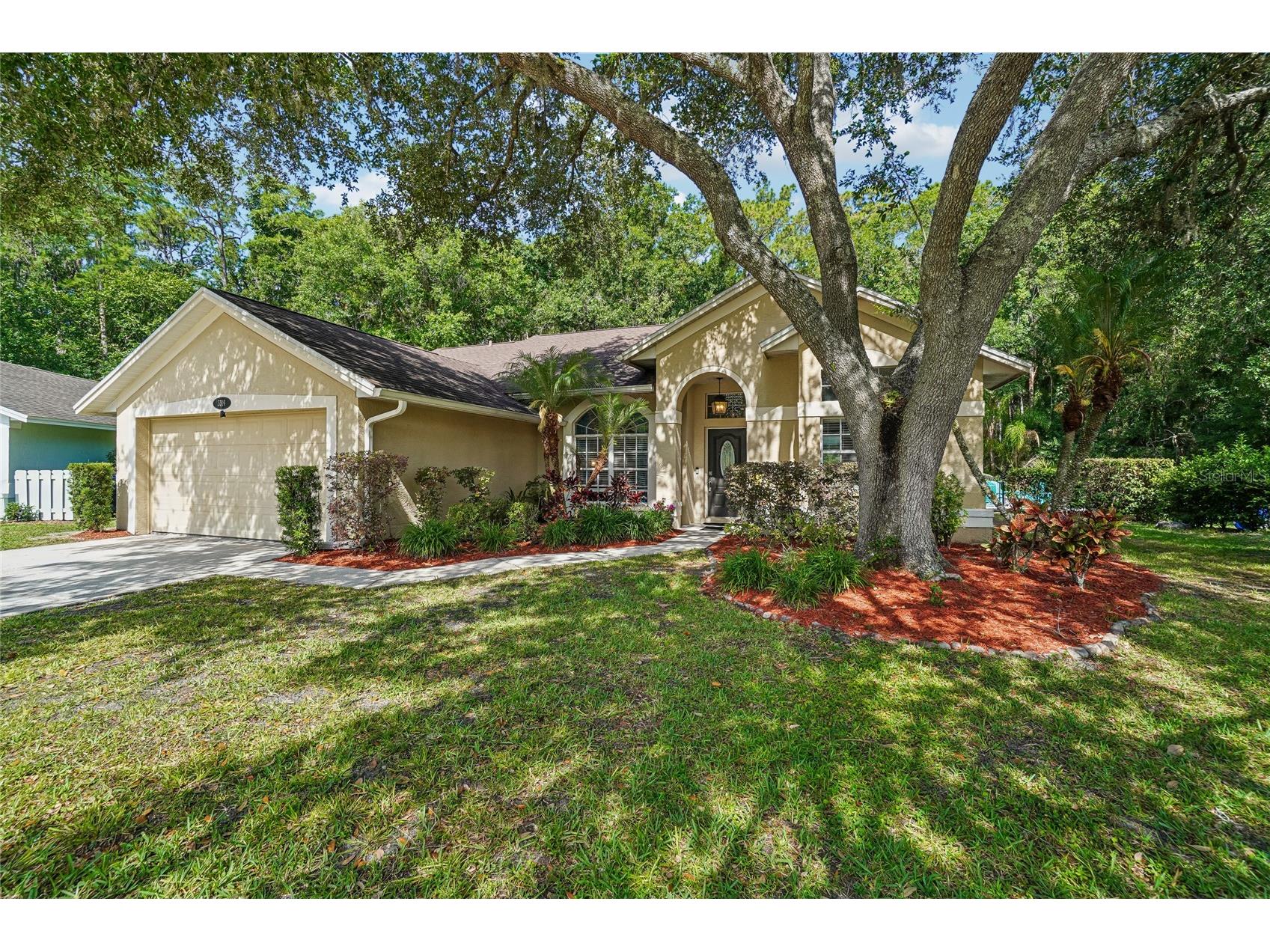 3319 Laurelwood Court Tarpon Springs FL 34688 TB8510649 image2