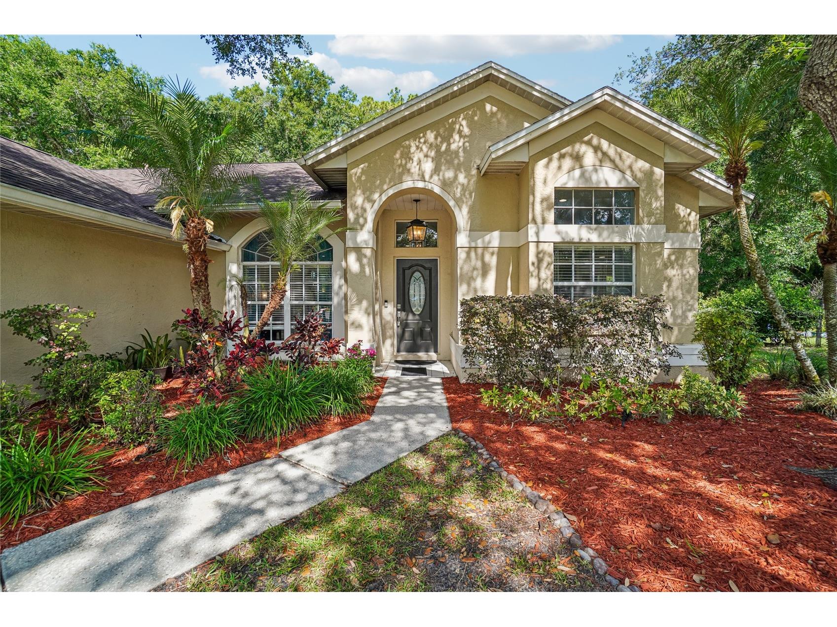 3319 Laurelwood Court Tarpon Springs FL 34688 TB8510649 image3