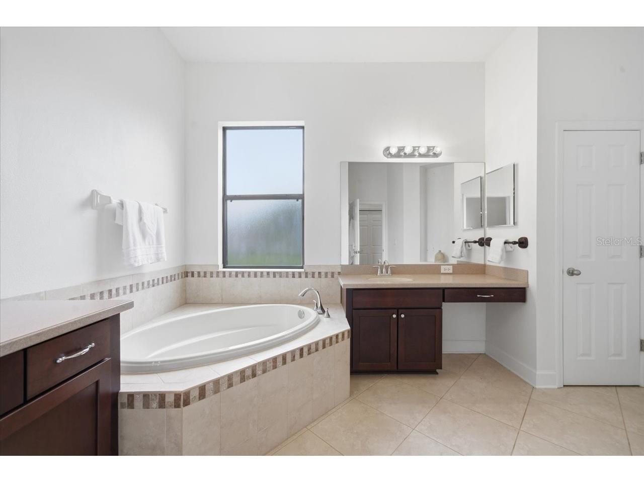 3319 Majestic View Drive Lutz FL 33558 TB8494452 image29