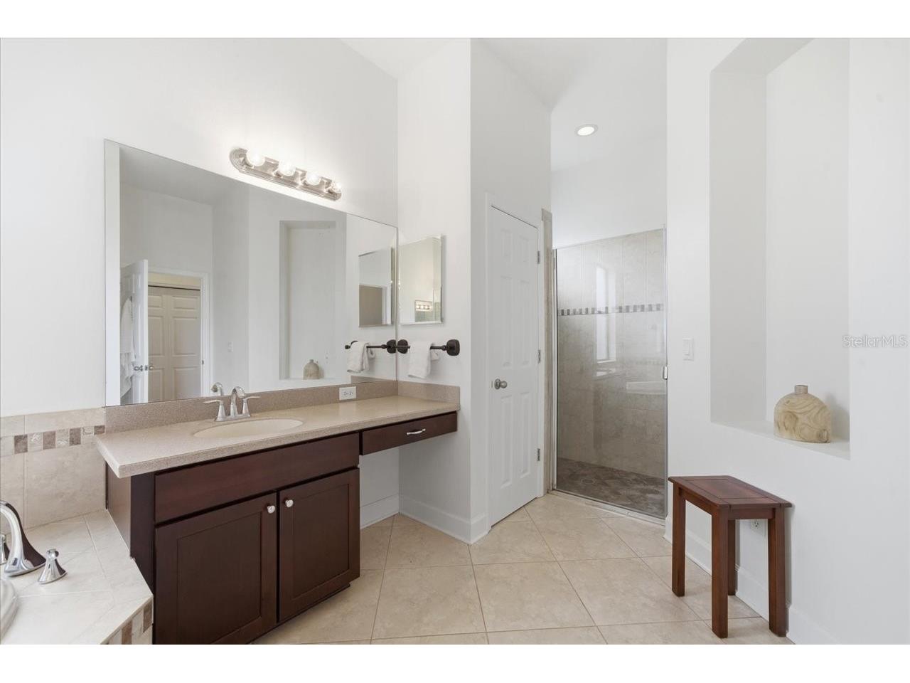 3319 Majestic View Drive Lutz FL 33558 TB8494452 image30