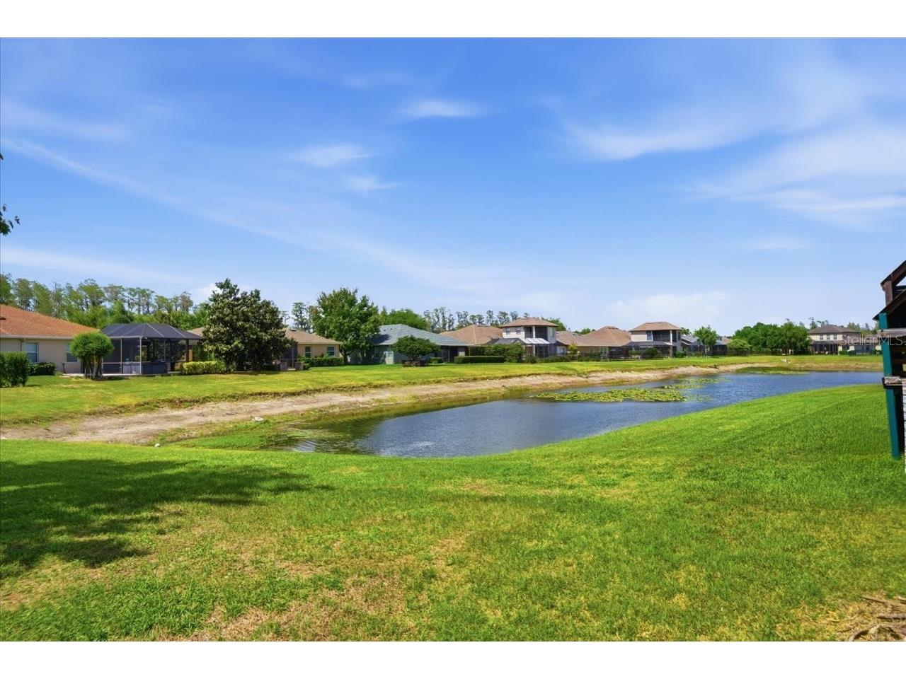 3319 Majestic View Drive Lutz FL 33558 TB8494452 image53