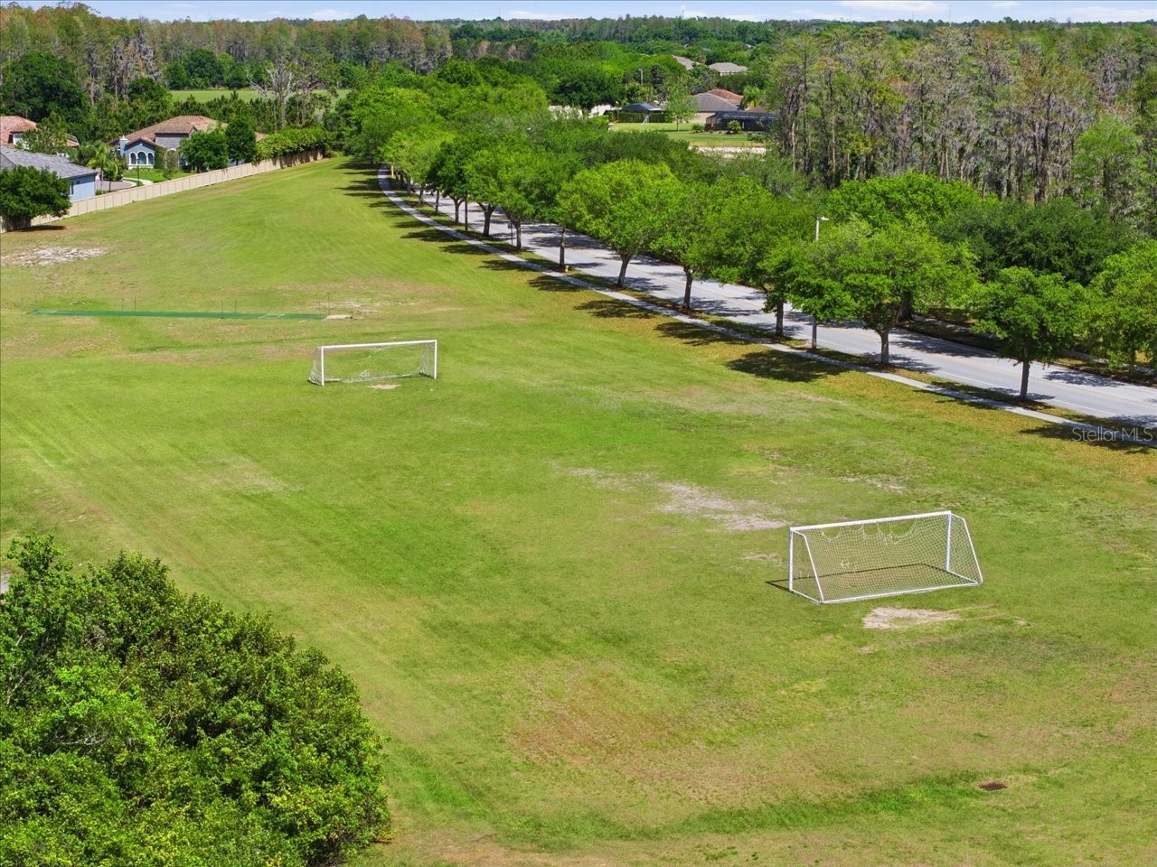 3319 Majestic View Drive Lutz FL 33558 TB8494452 image68