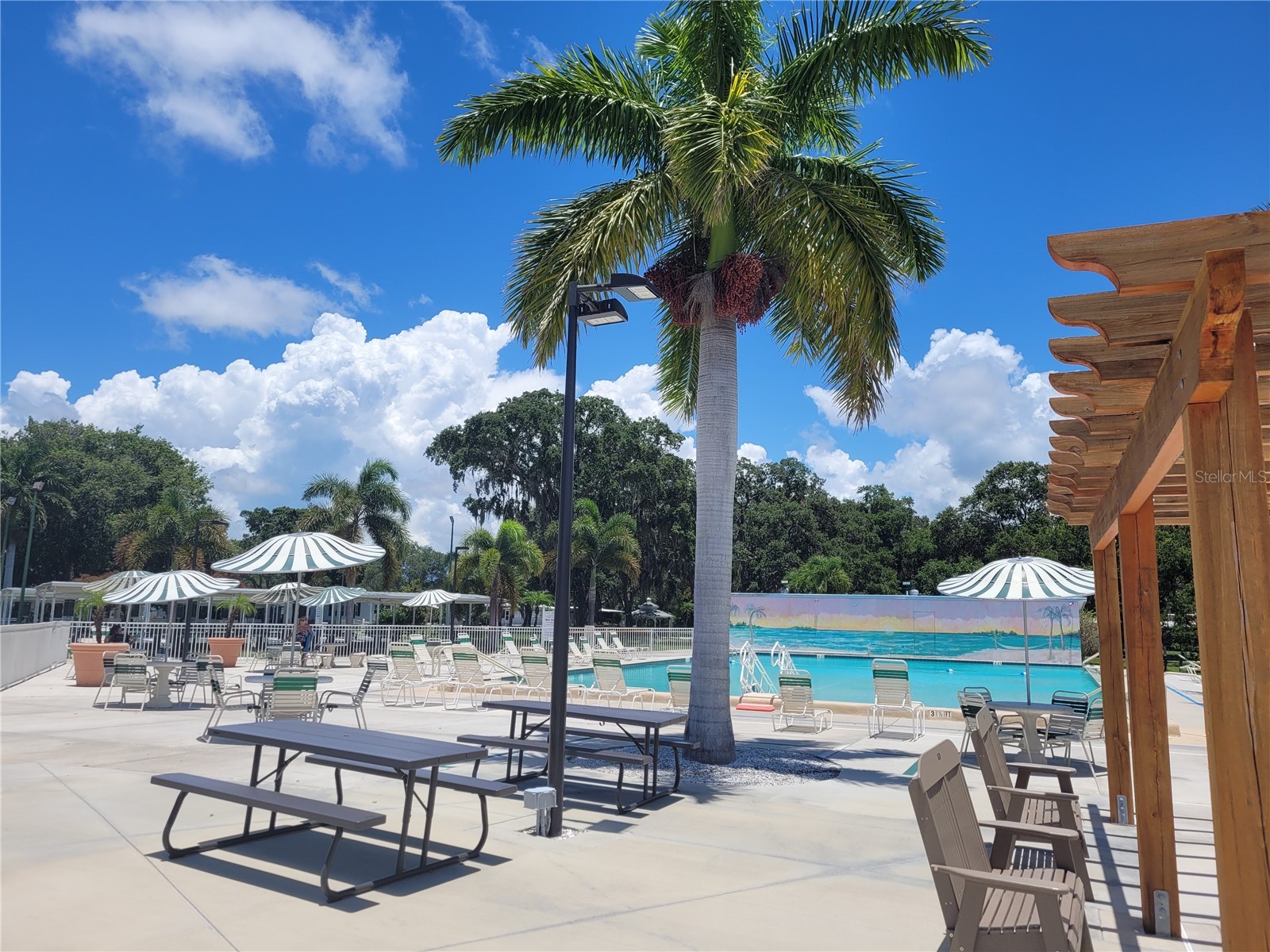 3319 Overcup Oak Terrace Sarasota FL 34237 A4687924 image58