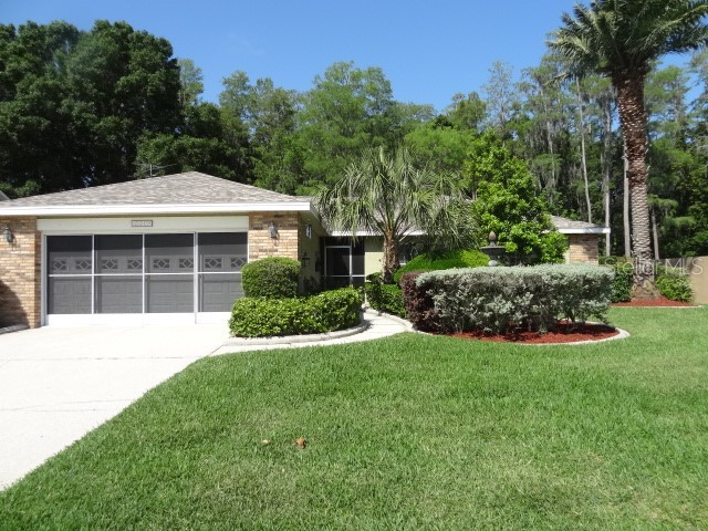 3319 Player Drive New Port Richey FL 34655 W7864092 image1