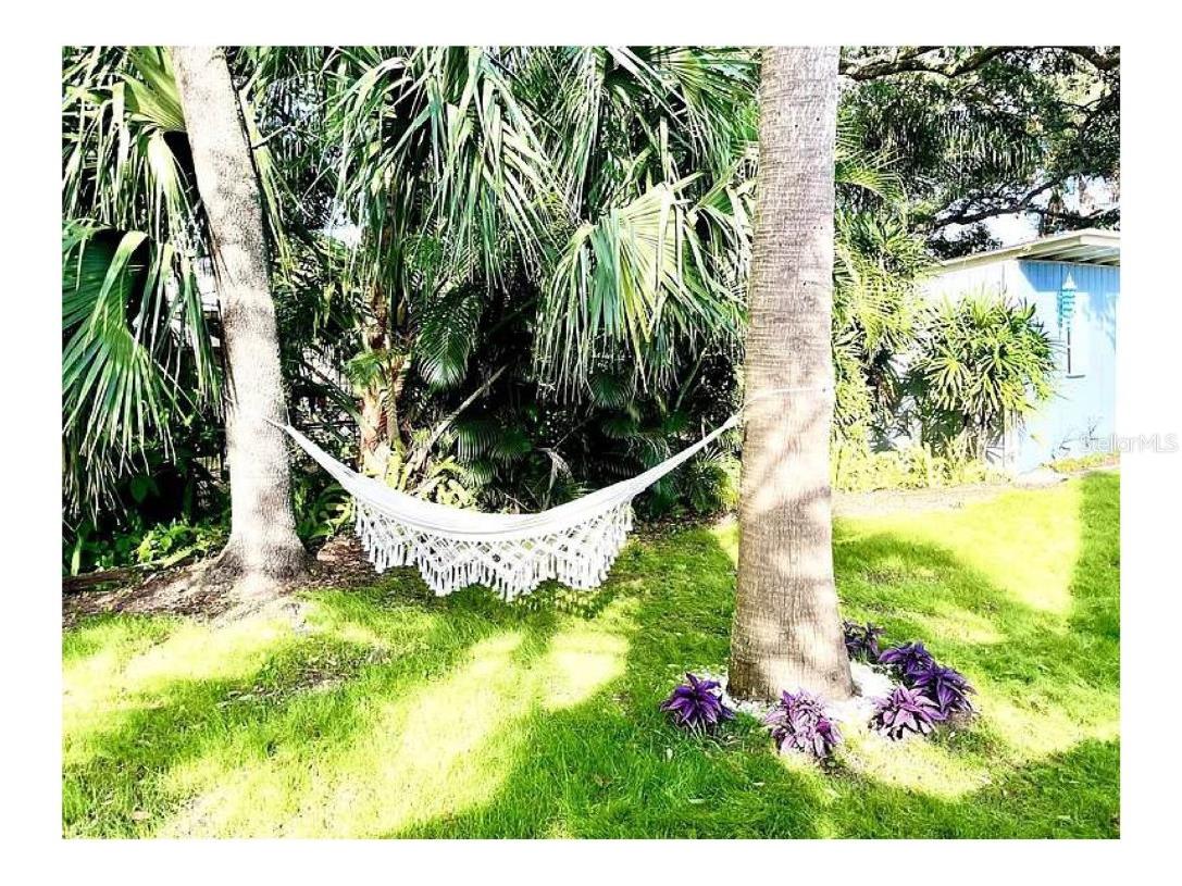 3319 W Paul Avenue Tampa FL 33611 TB8452194 image47